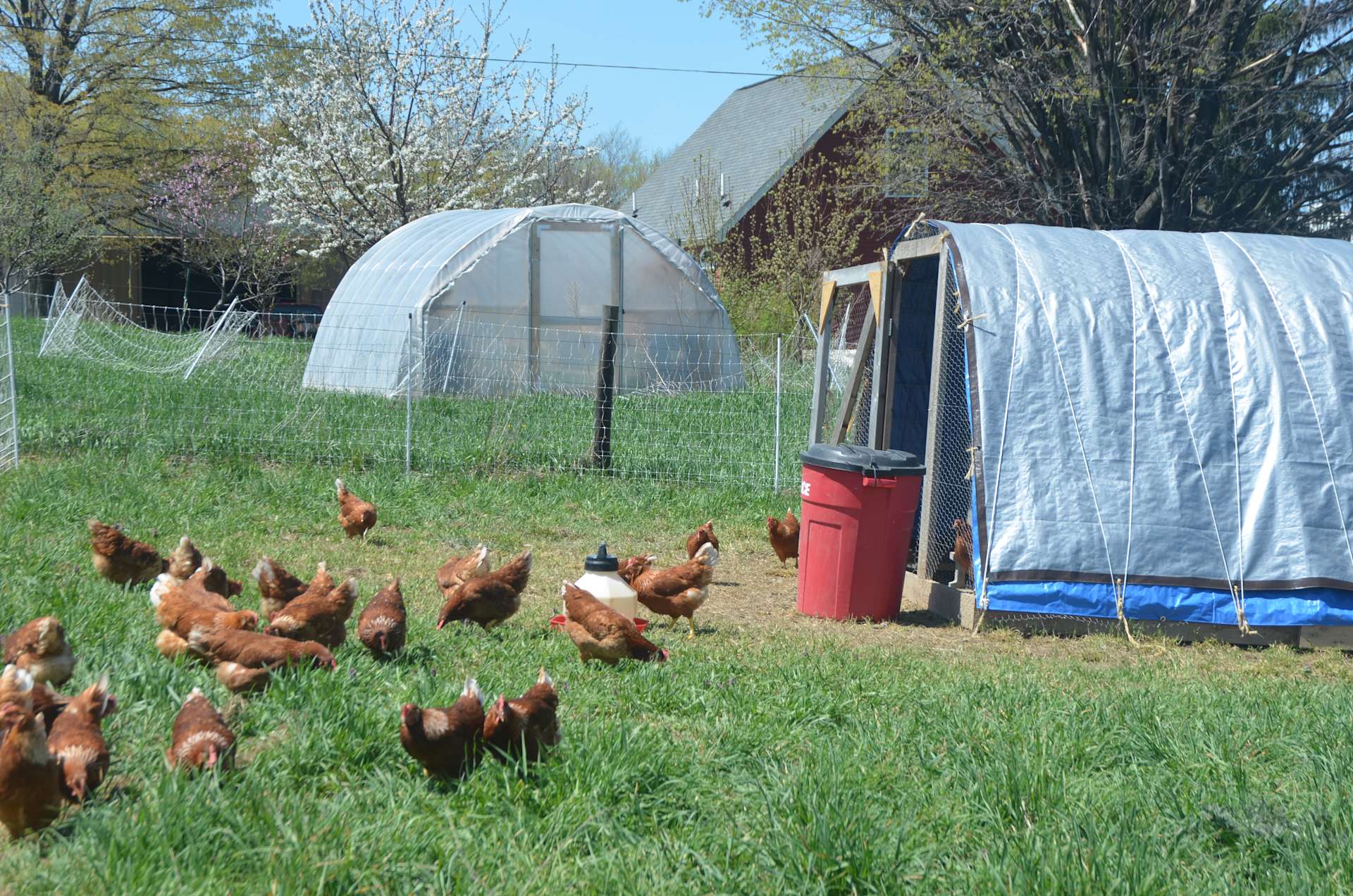 Toboggan Hill Farm Hipcamp in Westfield, New York