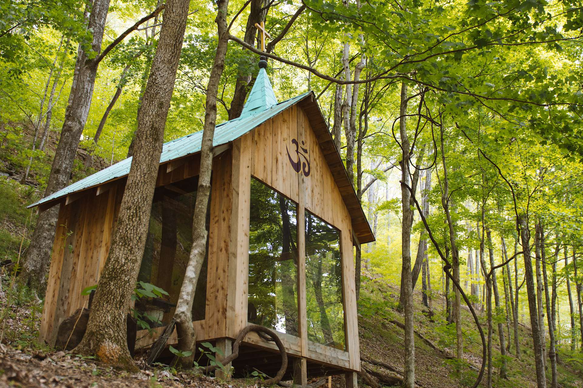 Beech Hollow Hideout Hipcamp in Dowelltown, Tennessee