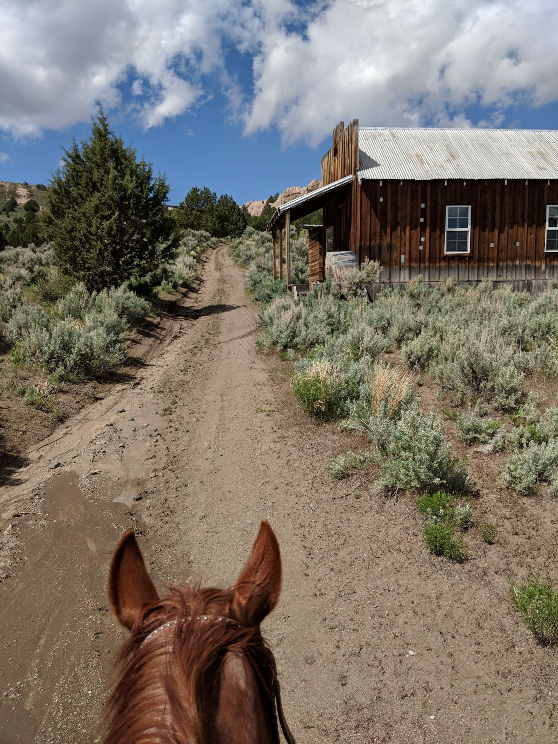 Old yella dog ranch. Hipcamp in Gerlach, Nevada