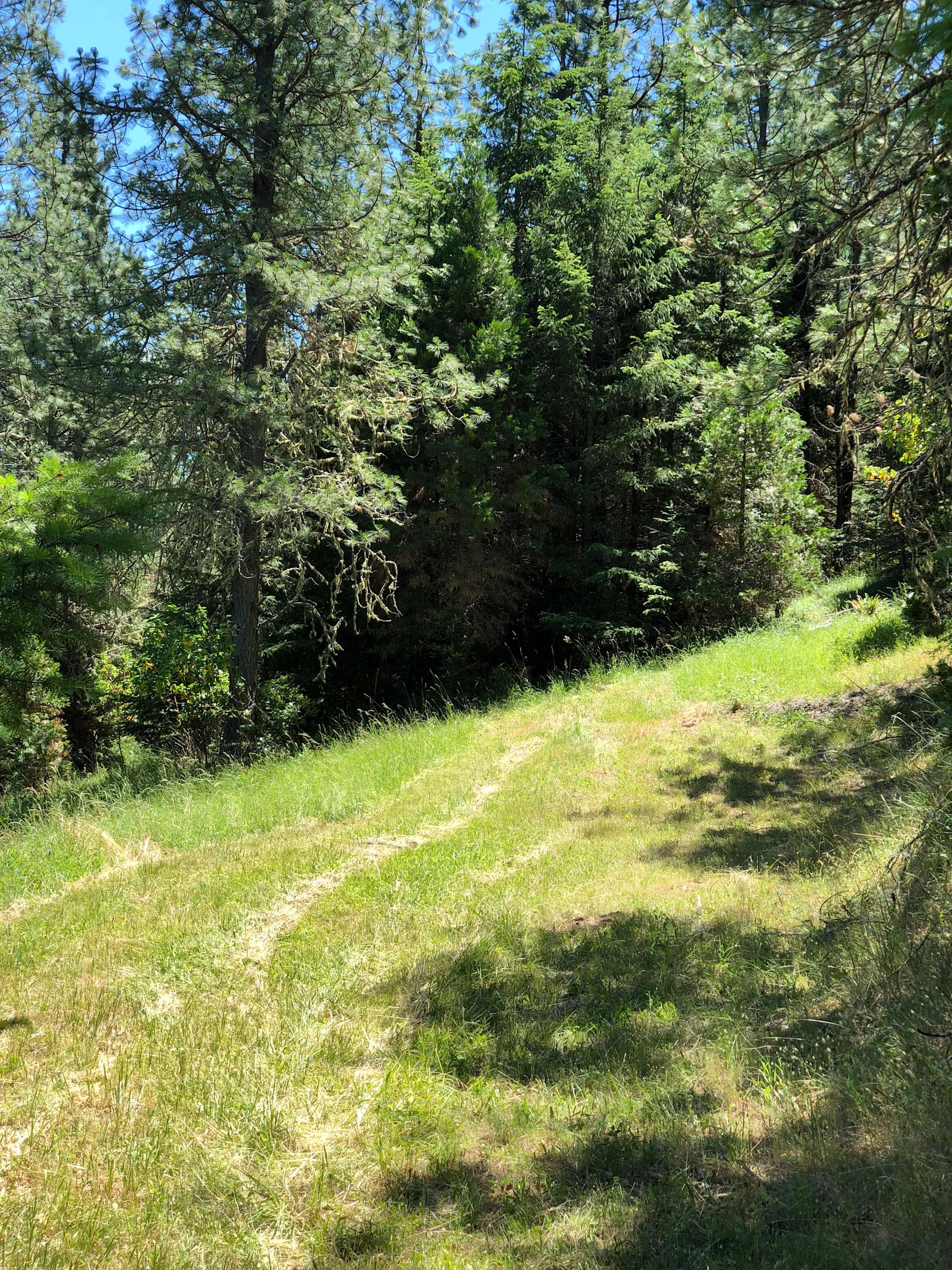 Camping Nook at Azalea Hipcamp in Azalea, Oregon