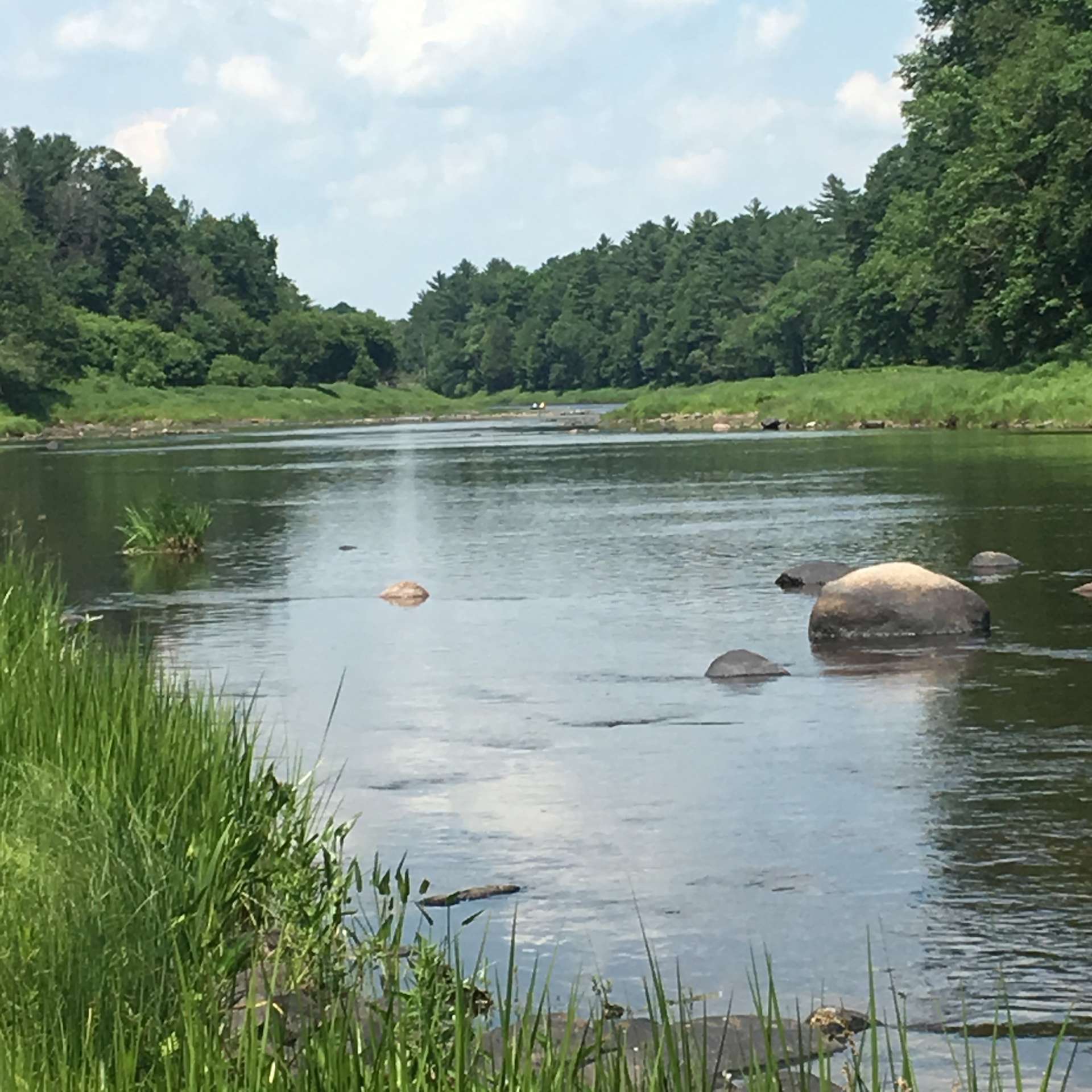 Warren T.’s Land Hipcamp in Chase Mills, New York