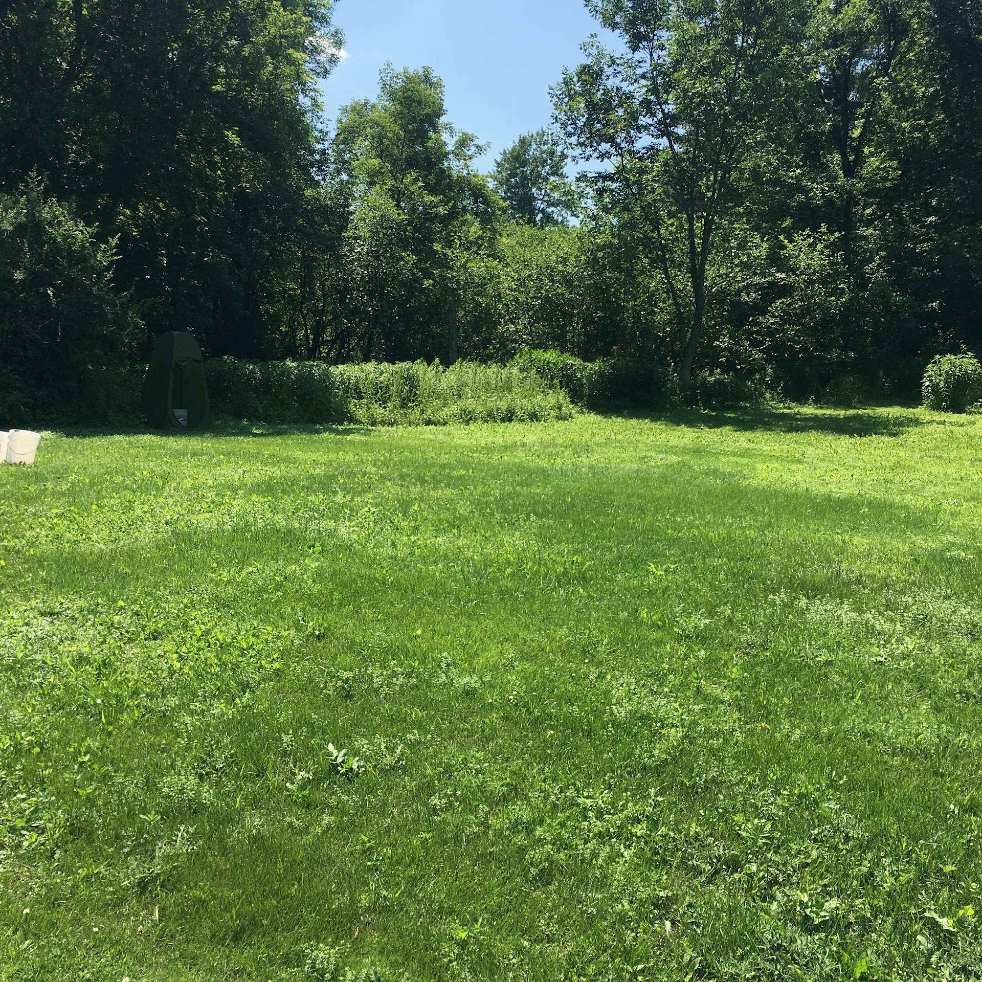 Warren T.’s Land Hipcamp in Chase Mills, New York