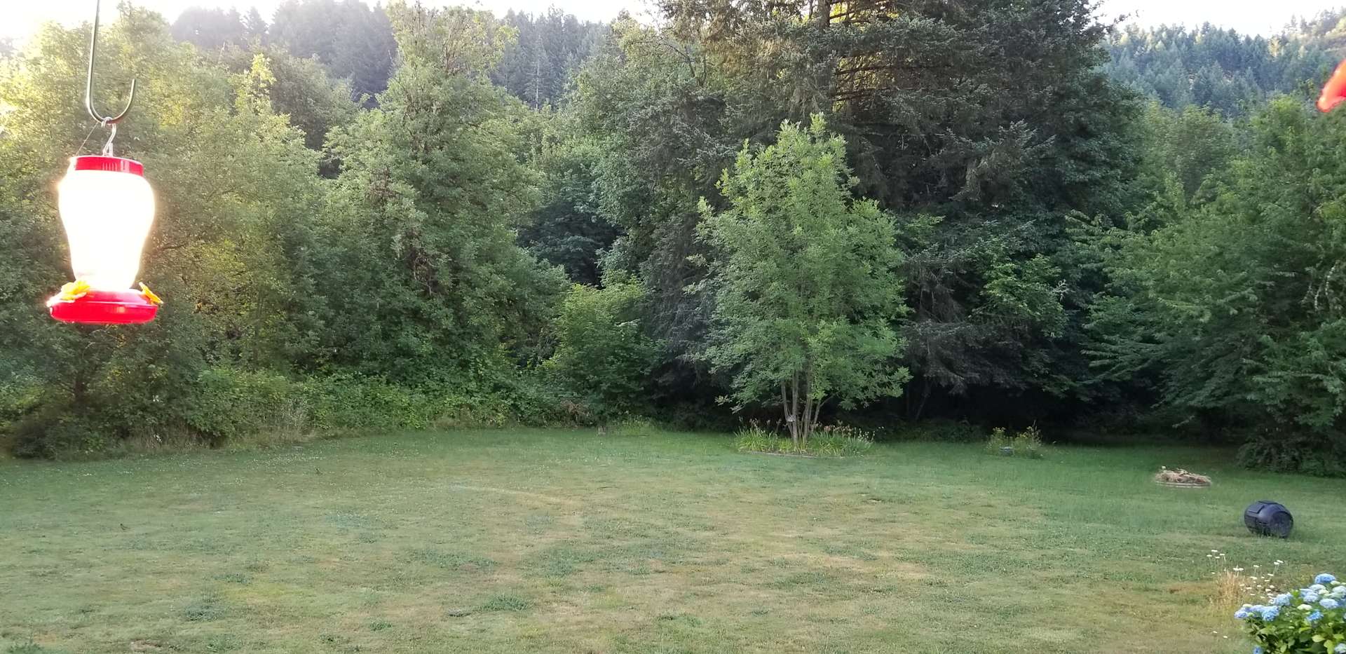 Paradise In Noti Hipcamp in Oregon