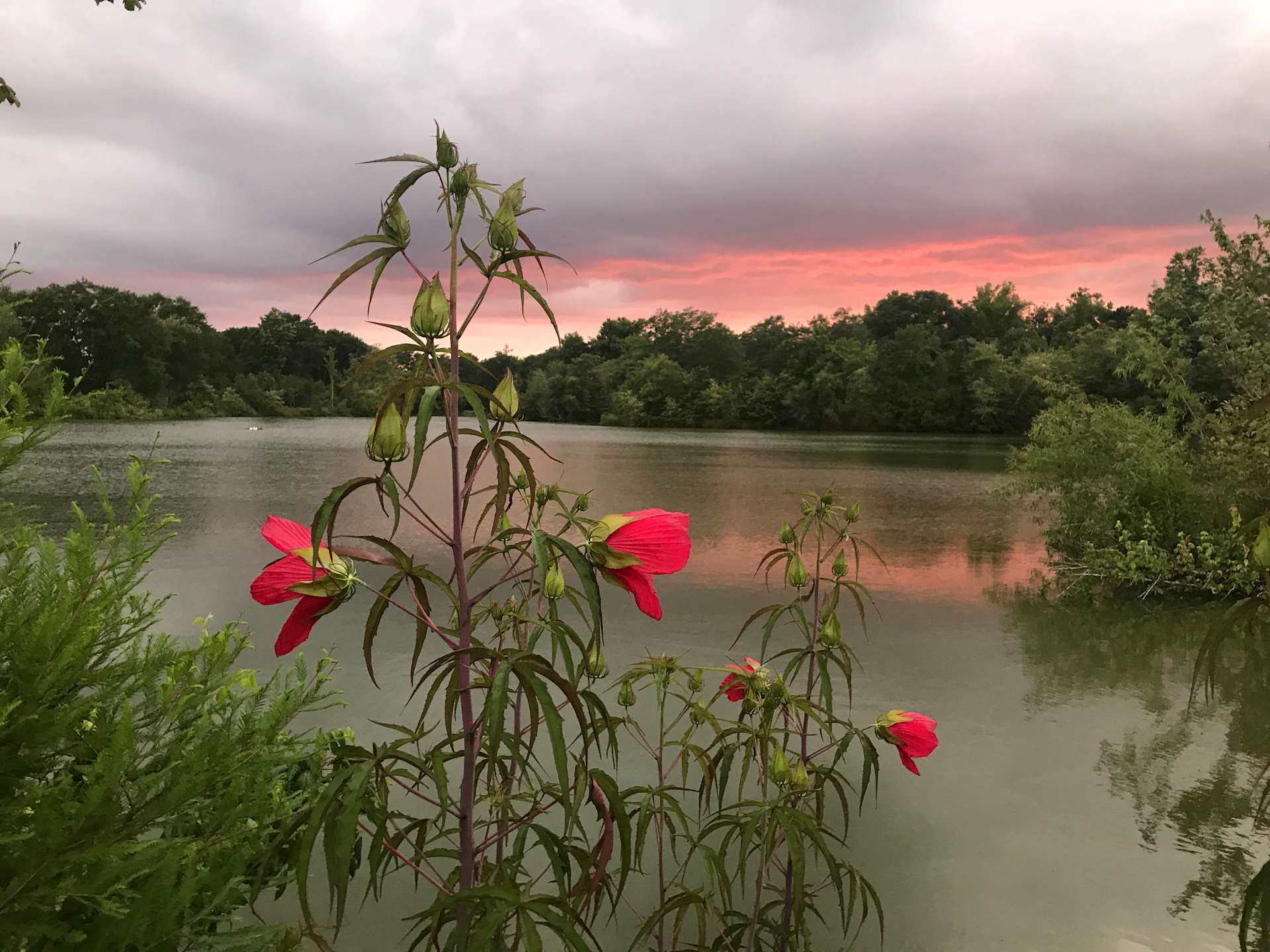 Blackwater Birds and Bees Hipcamp in Zuni, Virginia