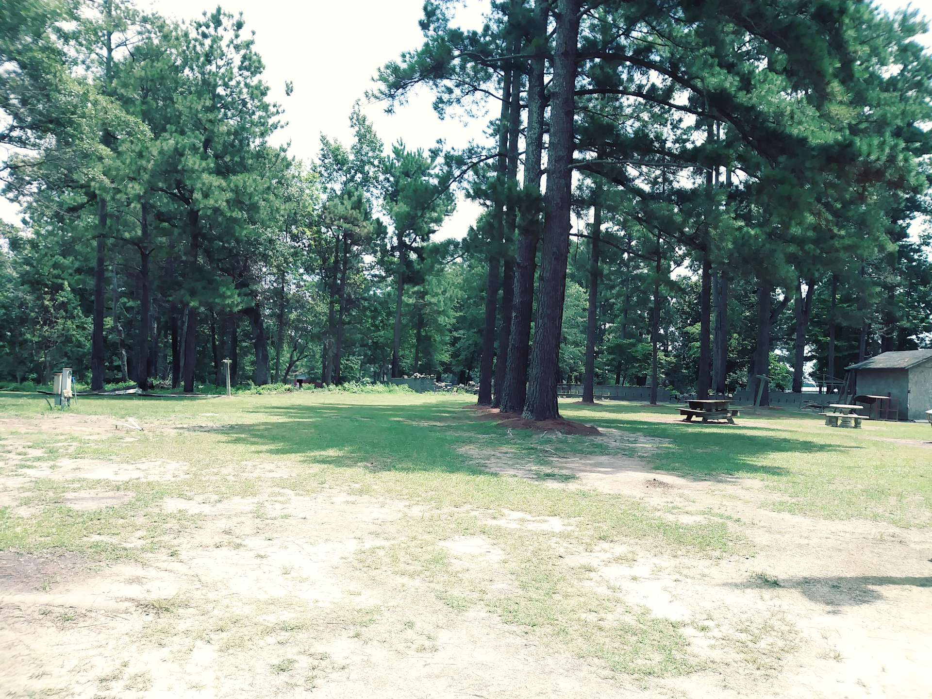 Double L Farms Hipcamp in Lumberton, North Carolina