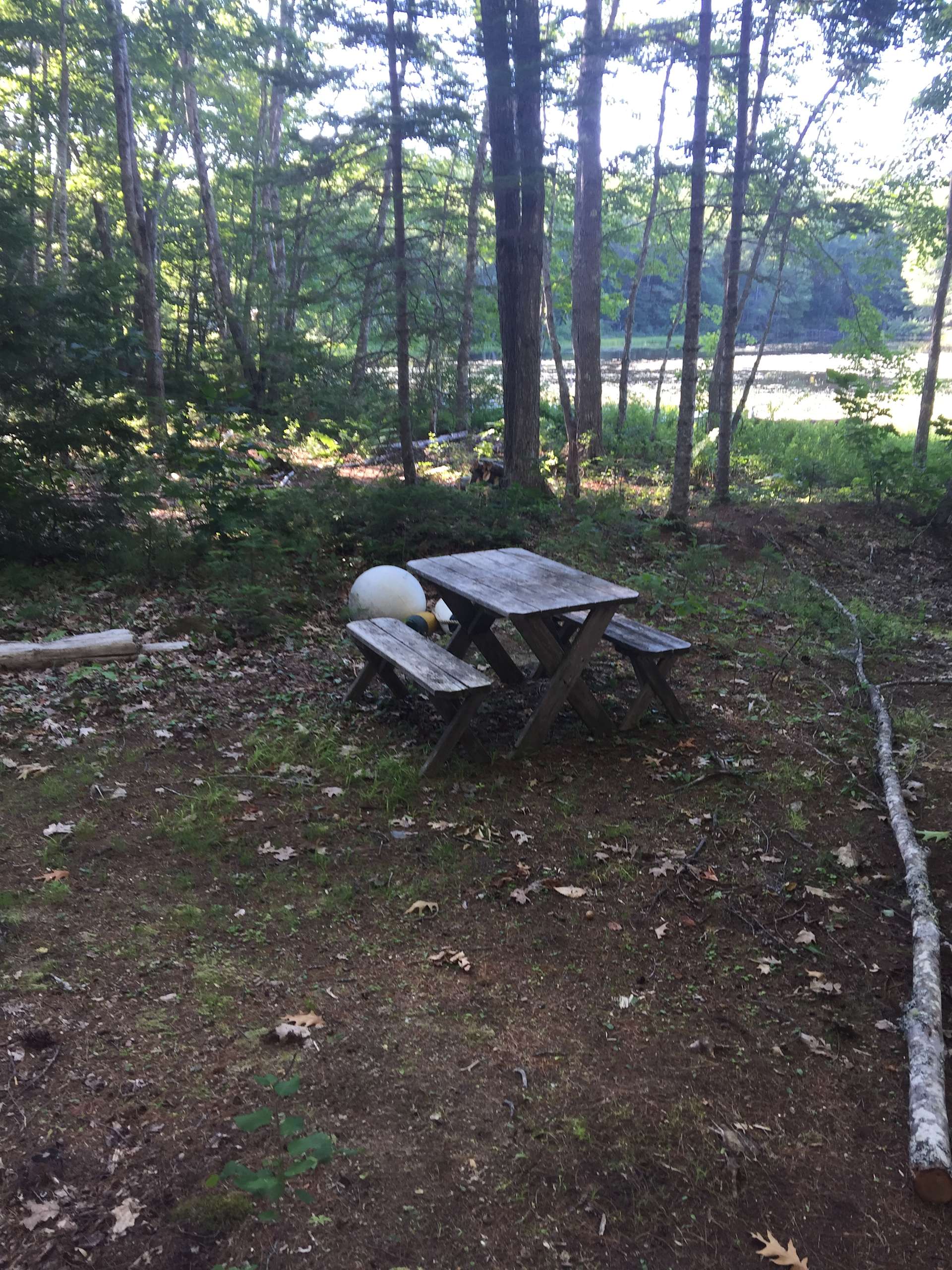 Pitcher Pond Campsite Hipcamp In Lincolnville Maine