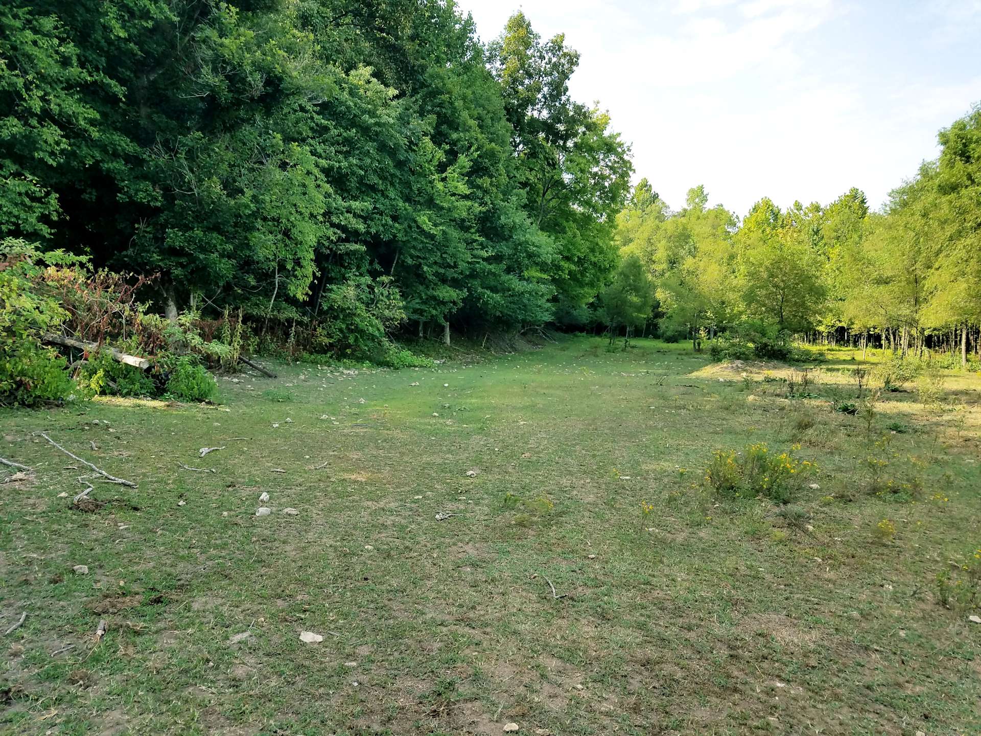 Calico Junction Ranch Hipcamp in Hohenwald, Tennessee