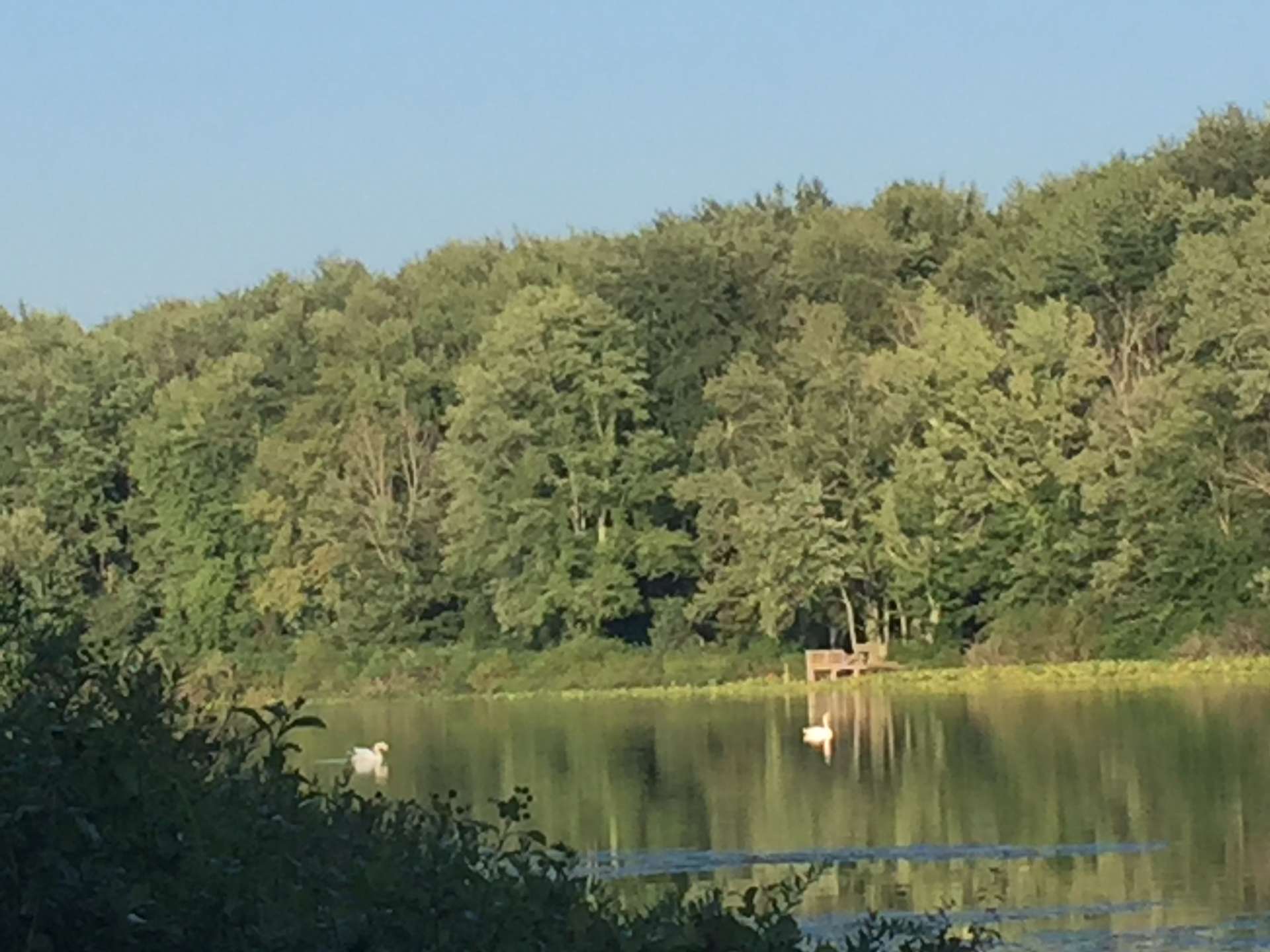 Hagar Shores Beach Hipcamp in Coloma, Michigan