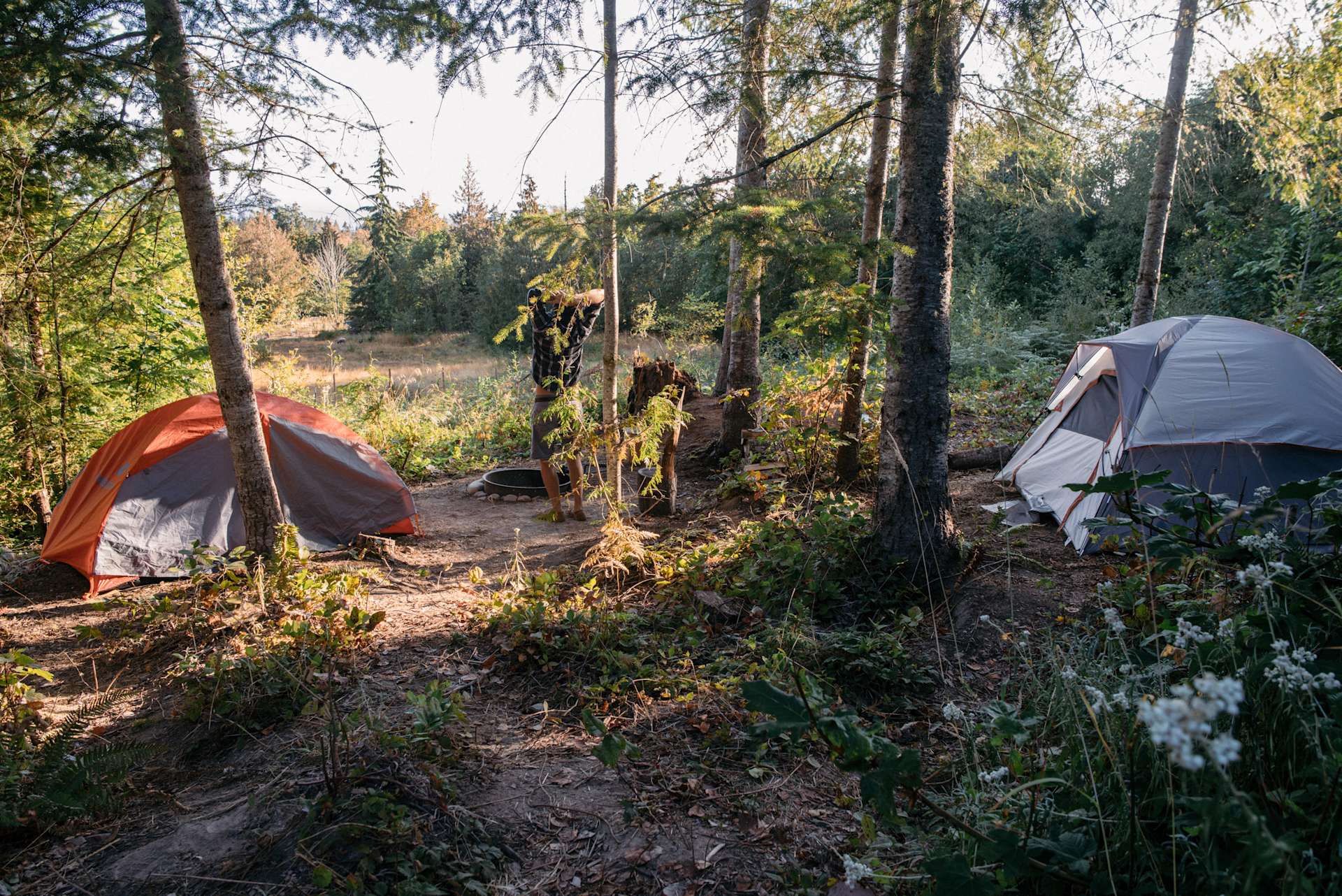 Ravensong Retreat Hipcamp in Washington