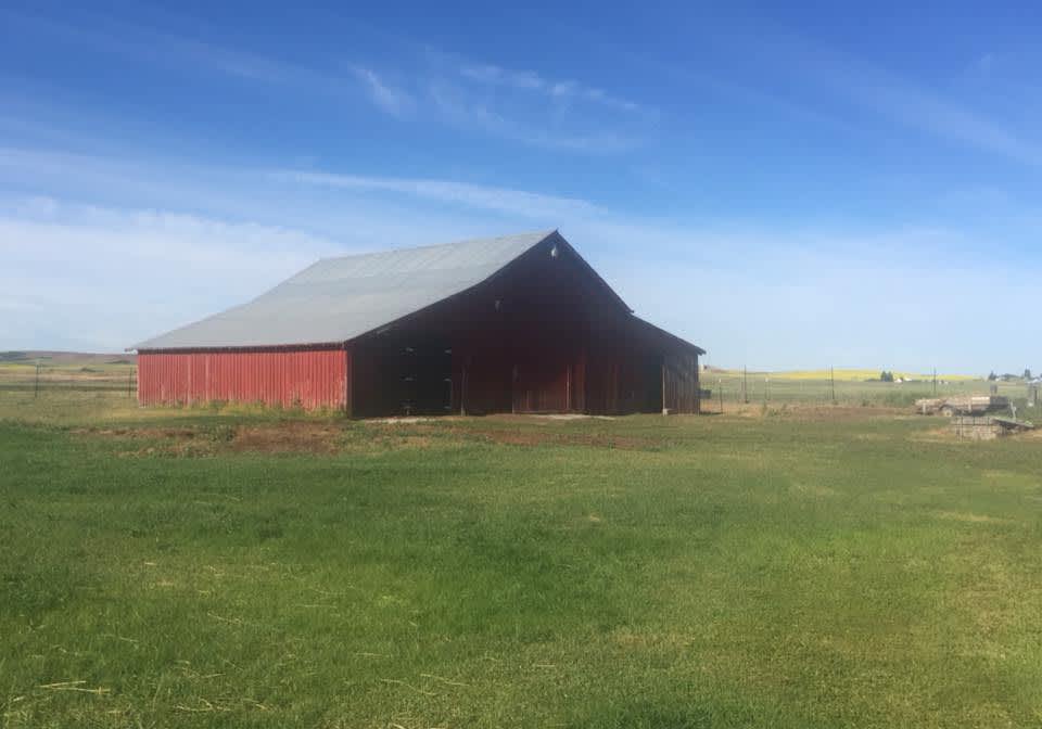 Old Stone Creek Hipcamp in Reardan, Washington