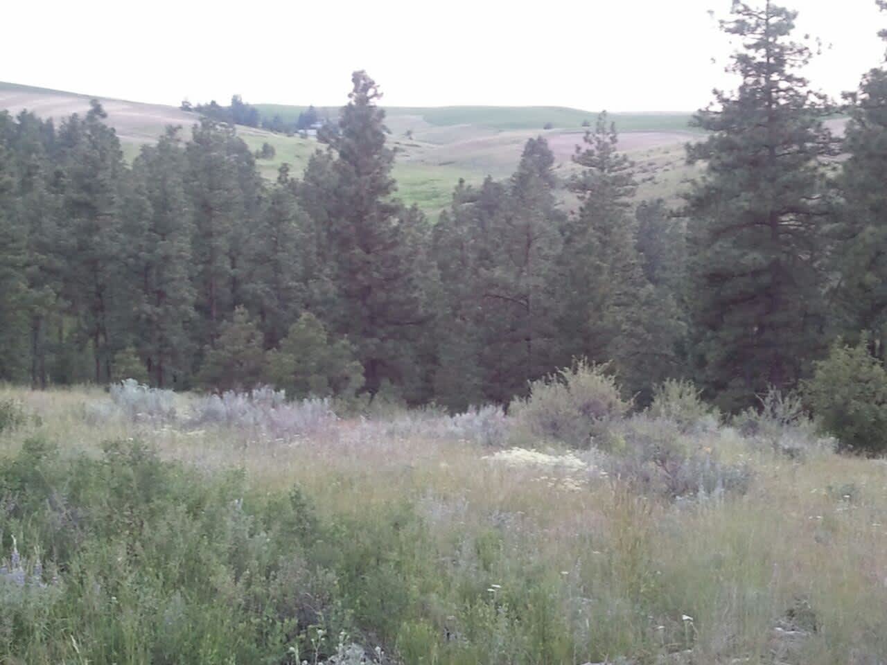 Barnhart Ranch Hipcamp in Creston, Washington