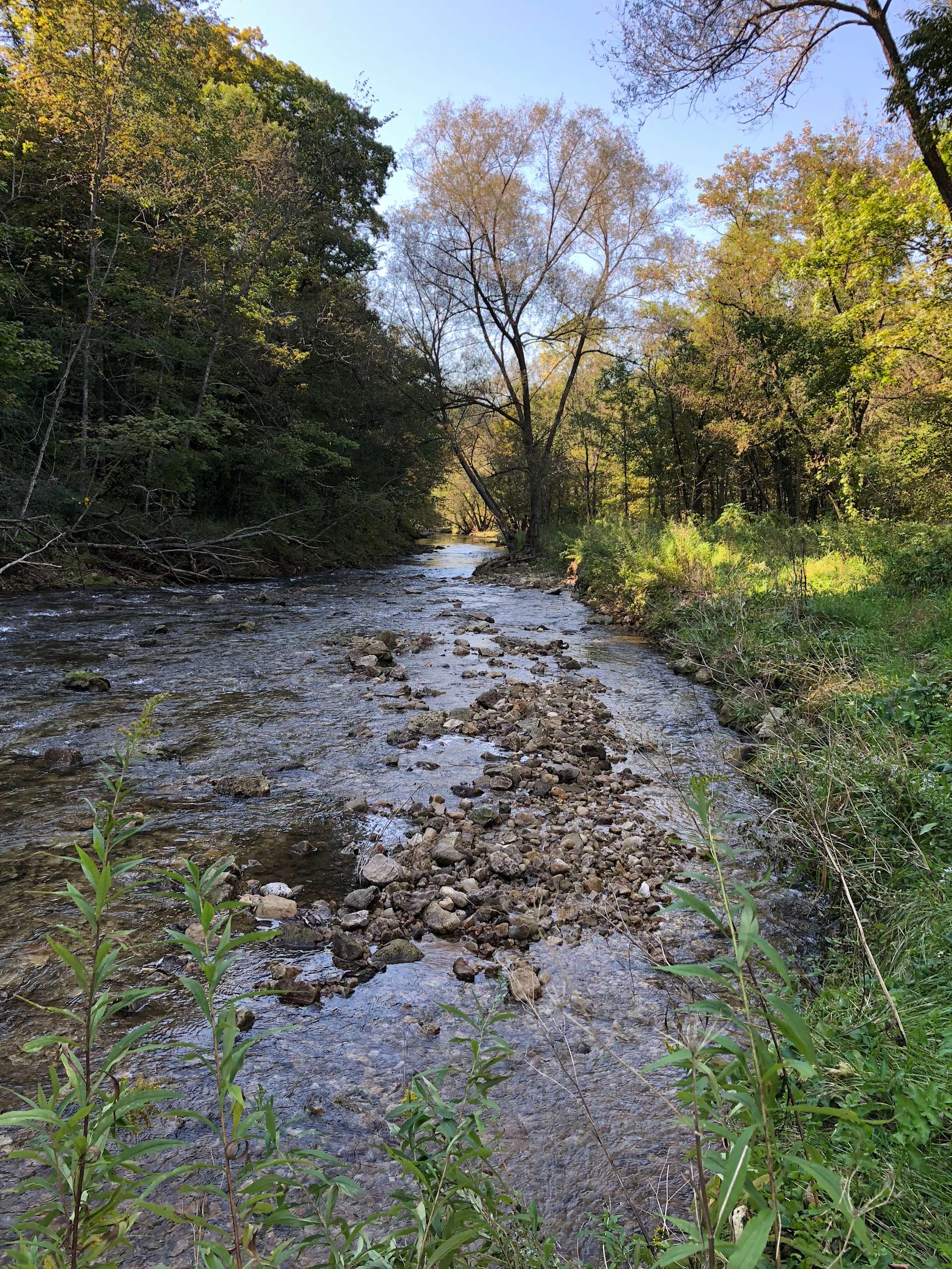 Brye Cabin and Bad Axe Camping Hipcamp in Viroqua, Wisconsin