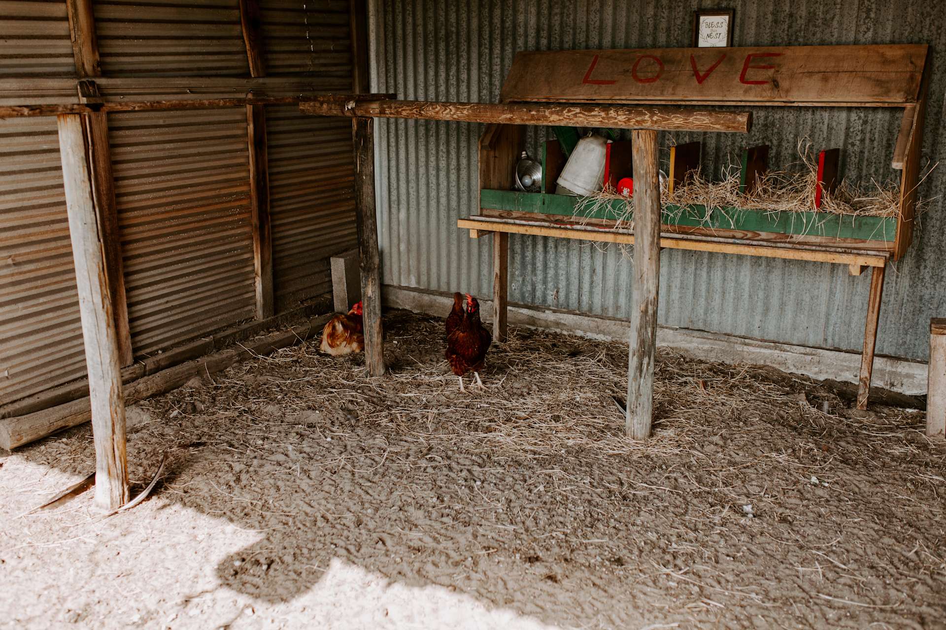 Alicia L's Yoga Barn Farm Hipcamp in Wimauma, Florida