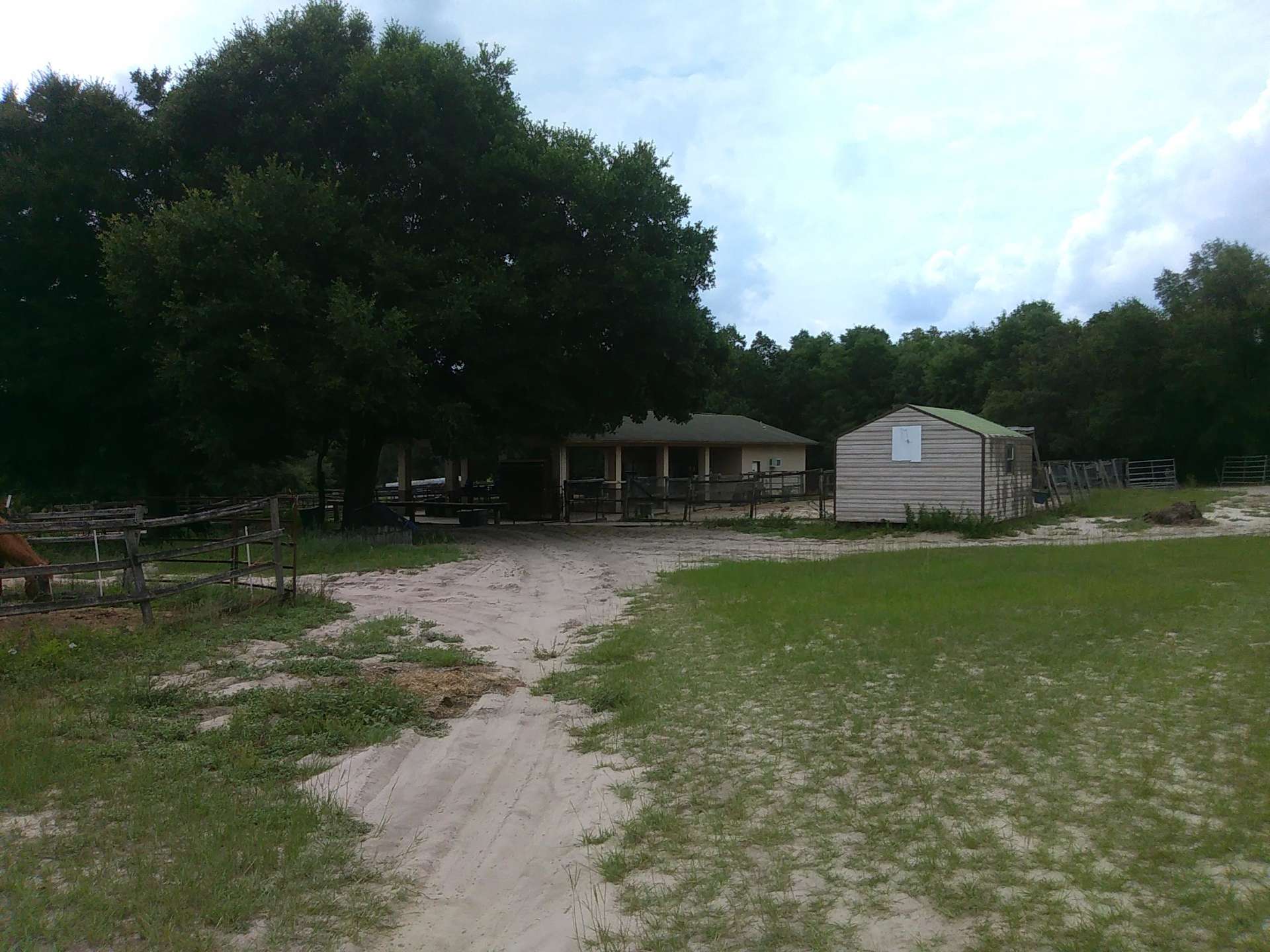 Black Horse Ranch - Hipcamp in Umatilla, Florida