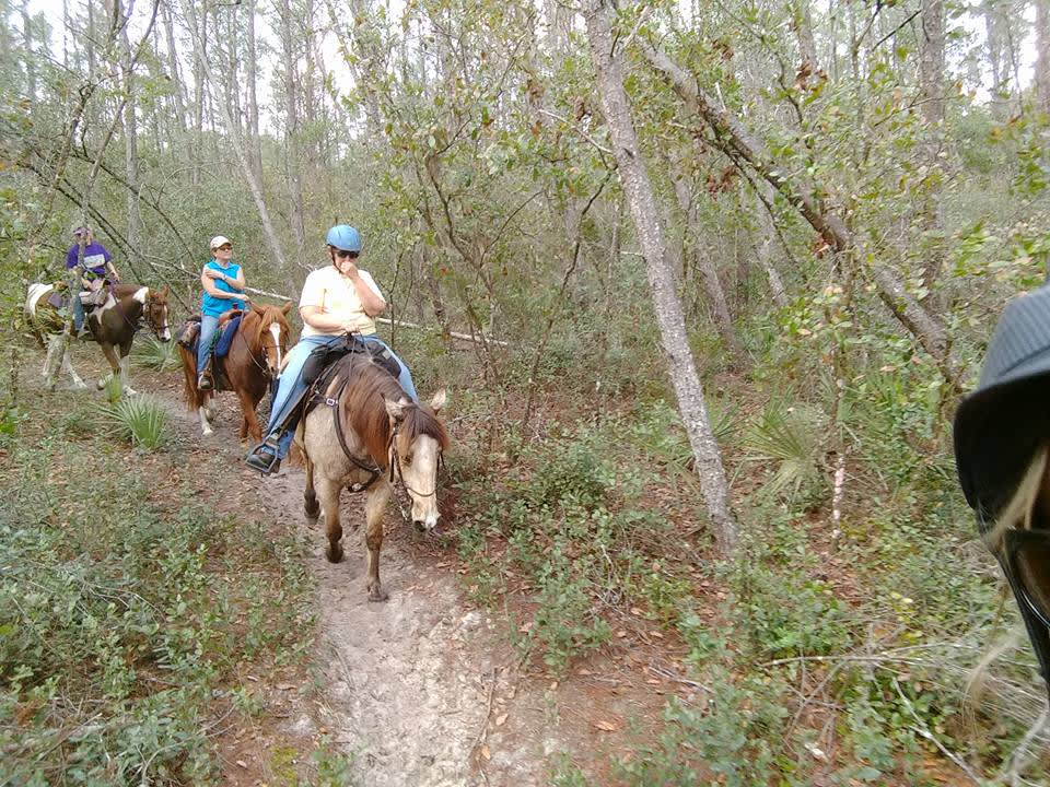 Black Horse Ranch Hipcamp in Umatilla, Florida