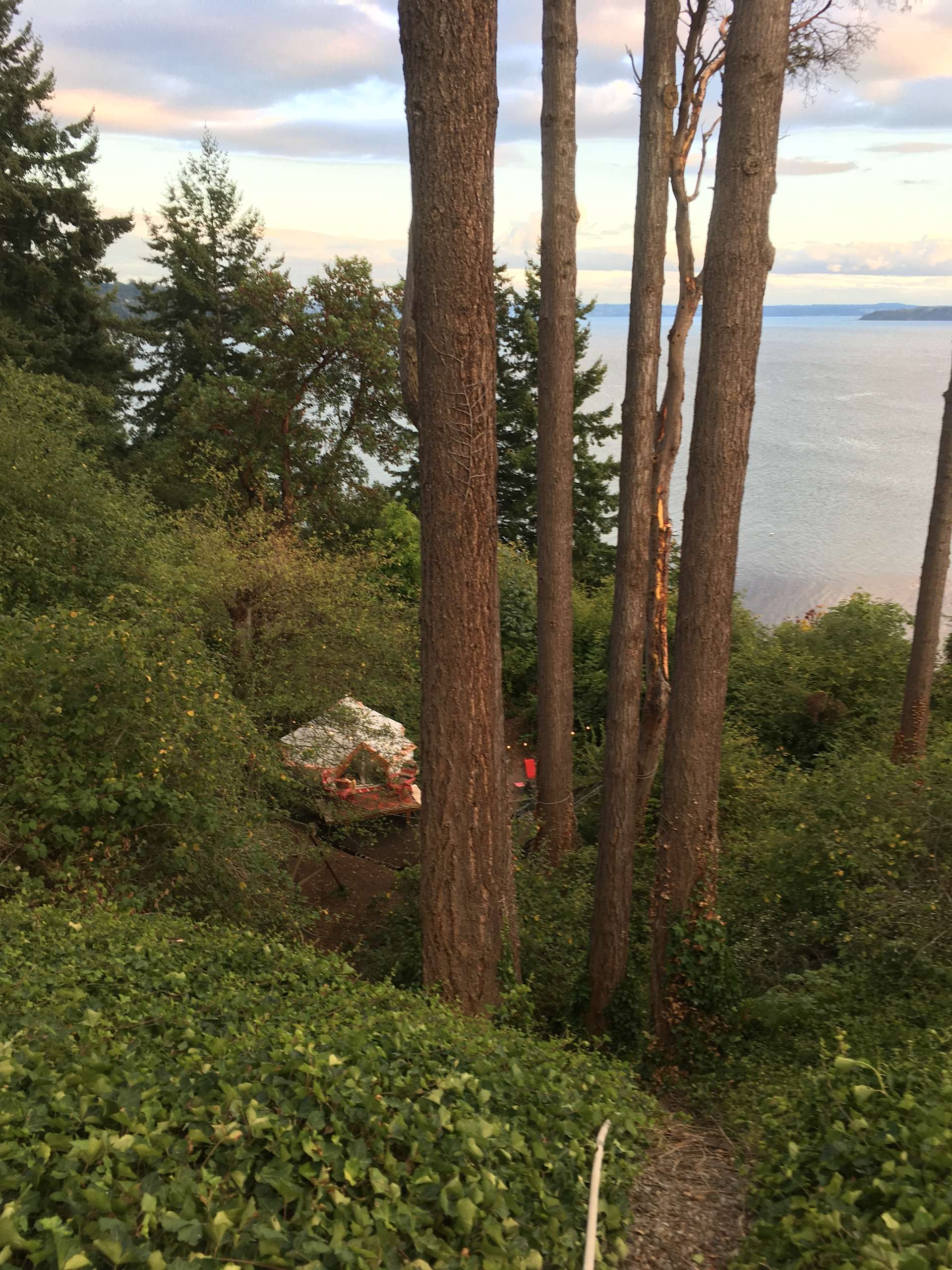 Camp Three Tree Point Hipcamp in Burien, Washington
