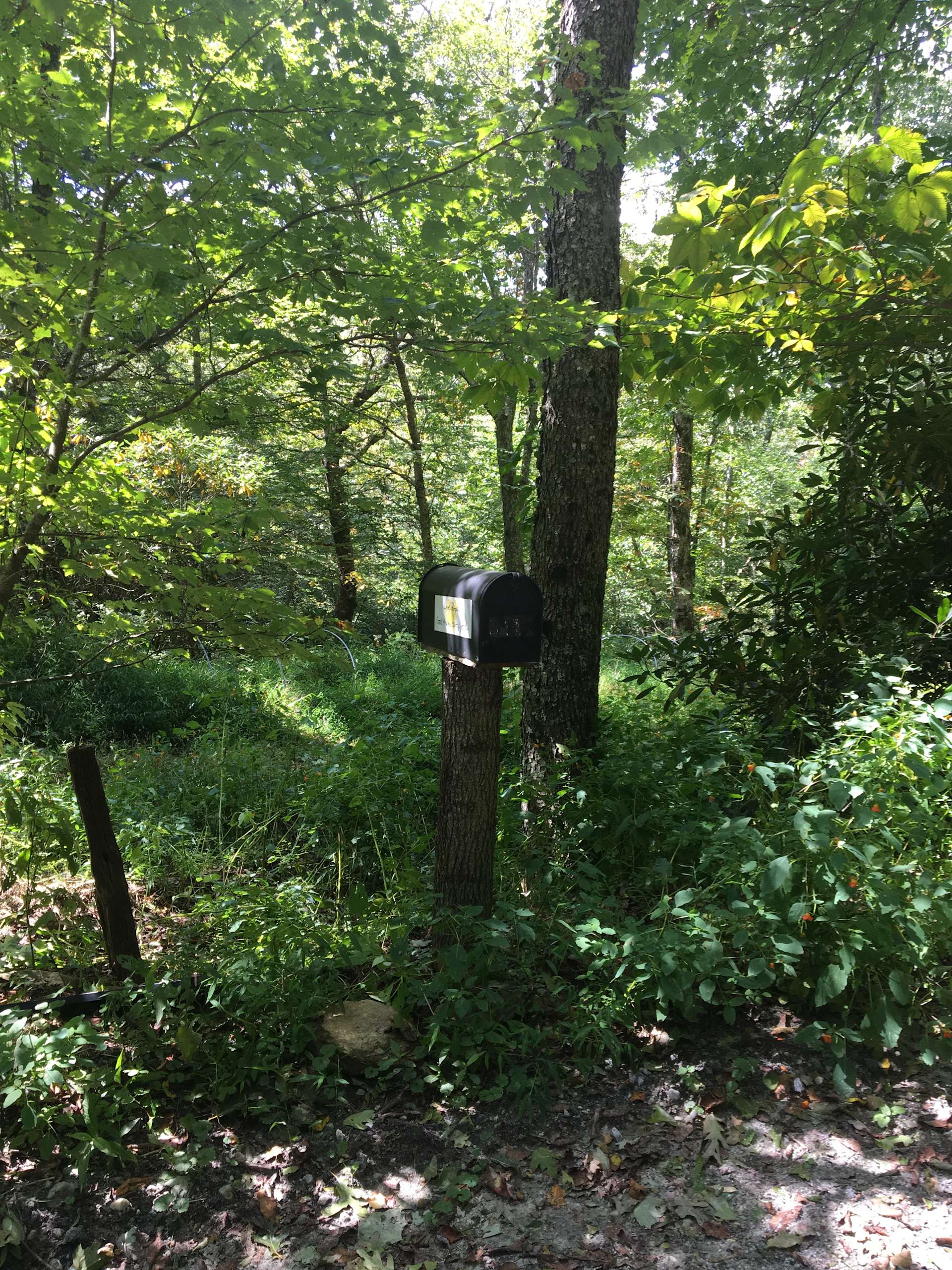 At the top of Big Ridge Hipcamp in Glenville, North Carolina