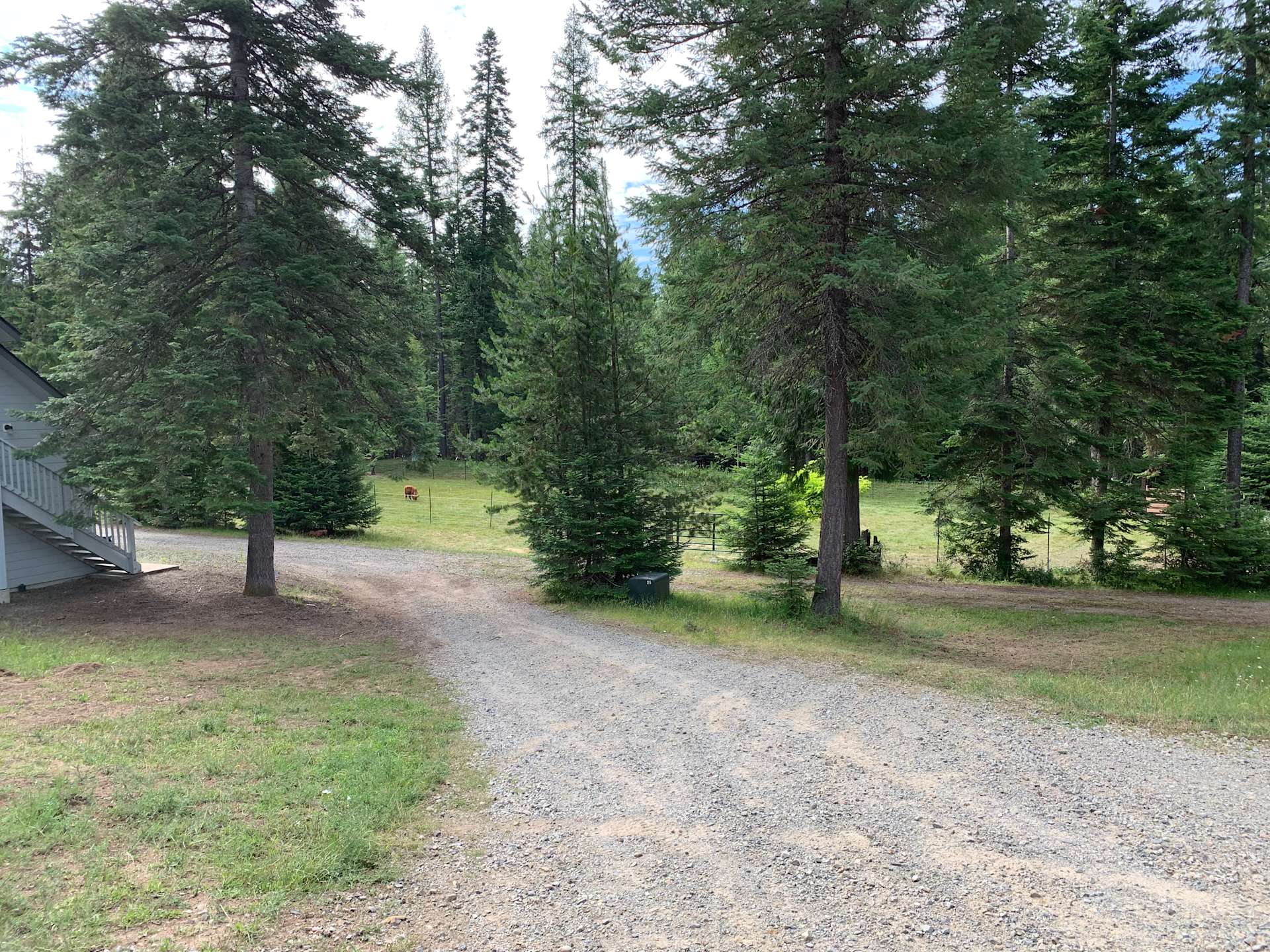 Twilight Meadows (dog friendly) Hipcamp in Sagle, Idaho