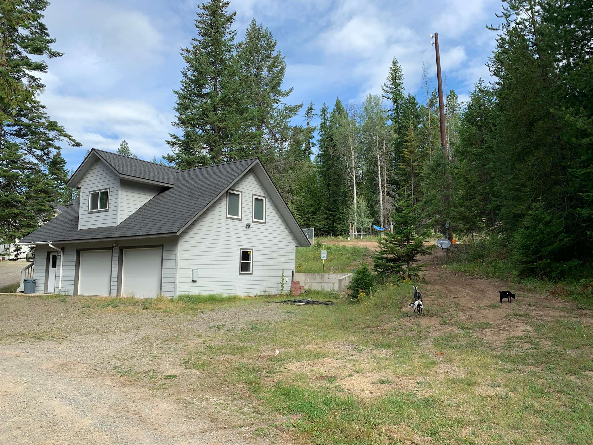 Twilight Meadows (dog friendly) - Hipcamp in Sagle, Idaho