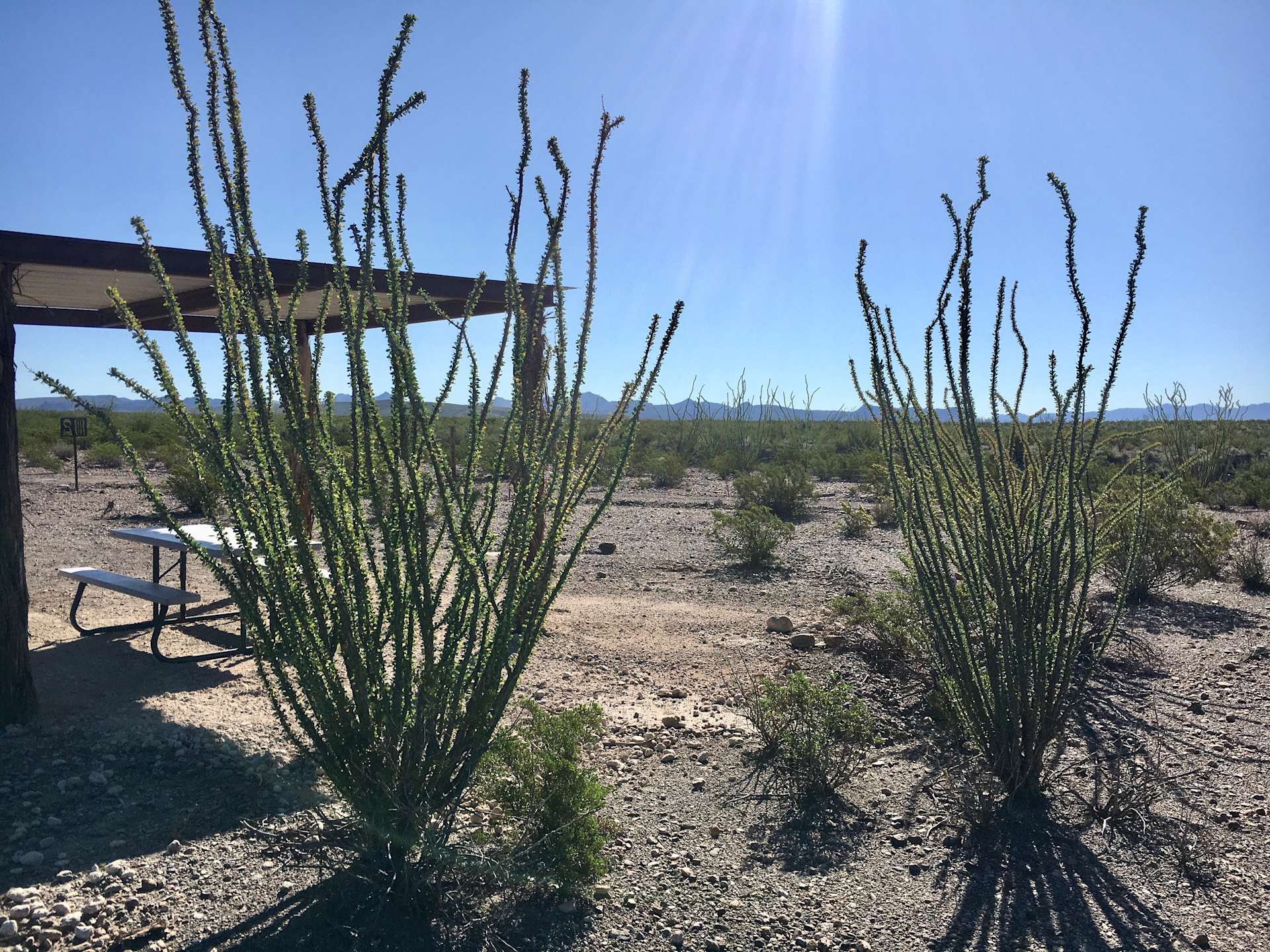 Rio Bravo Ranch Hipcamp in Presidio, Texas