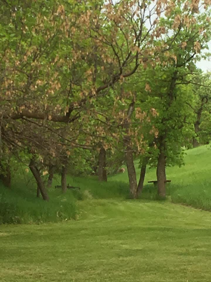 Screaming Eagle Hipcamp in Hulett, Wyoming