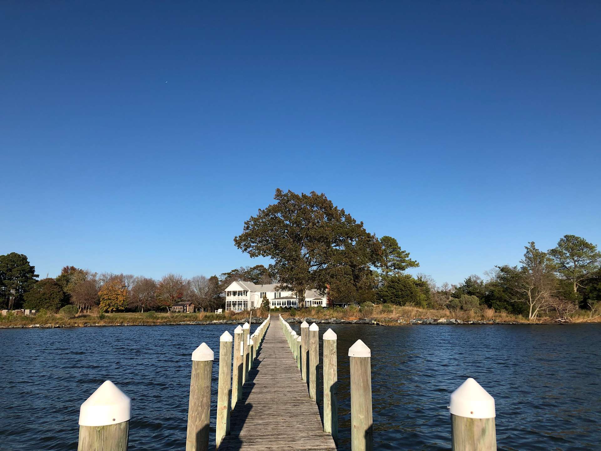On Onancock Creek Hipcamp in Onancock, Virginia