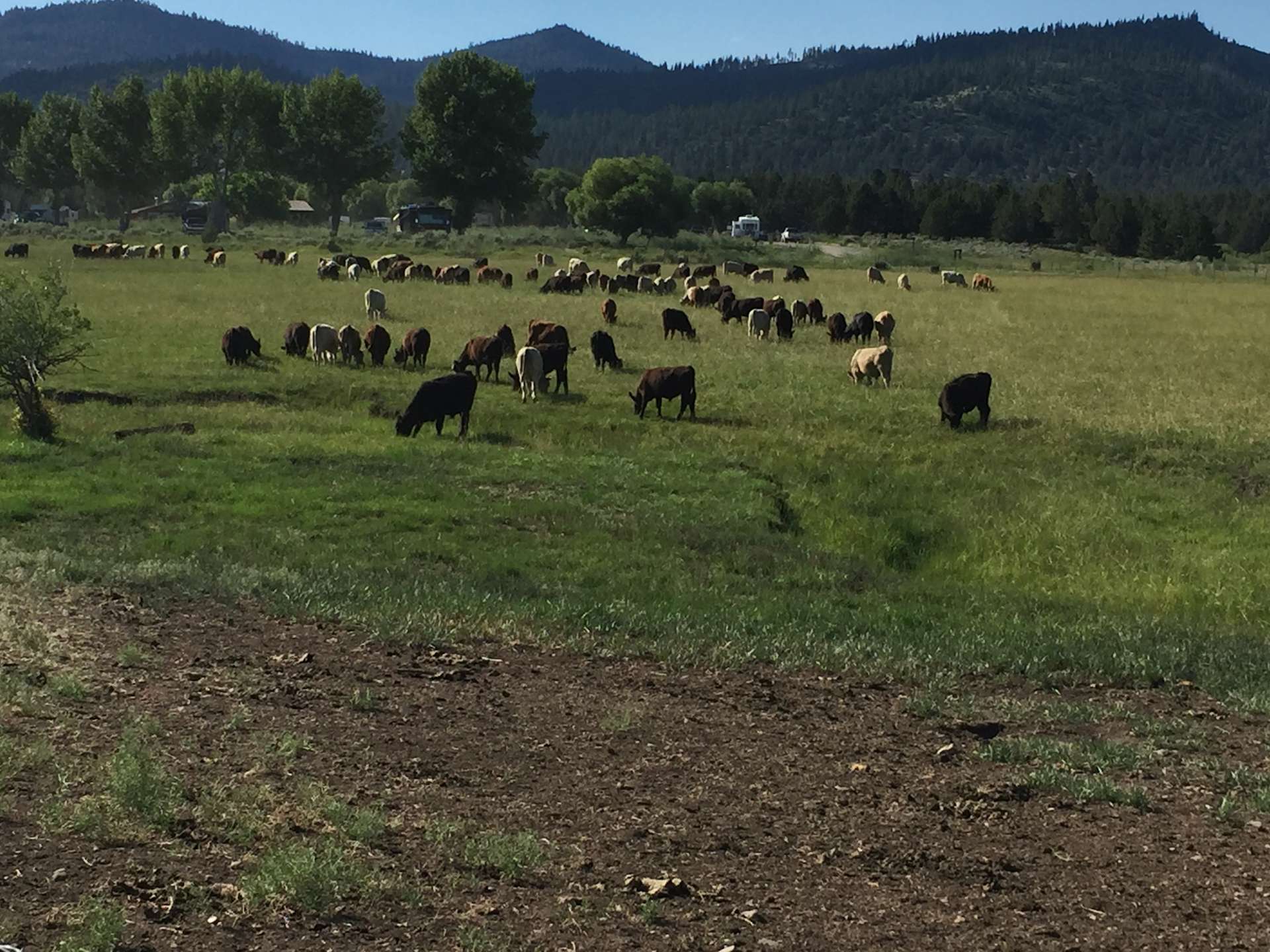 Junipers Reservoir Campground Hipcamp in Lakeview, Oregon