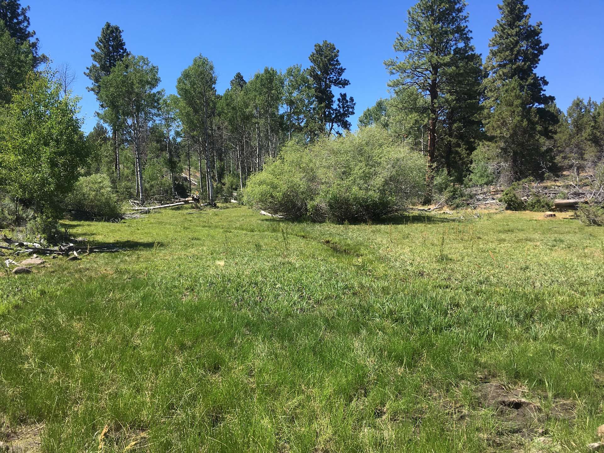 Junipers Reservoir Campground Hipcamp in Lakeview, Oregon