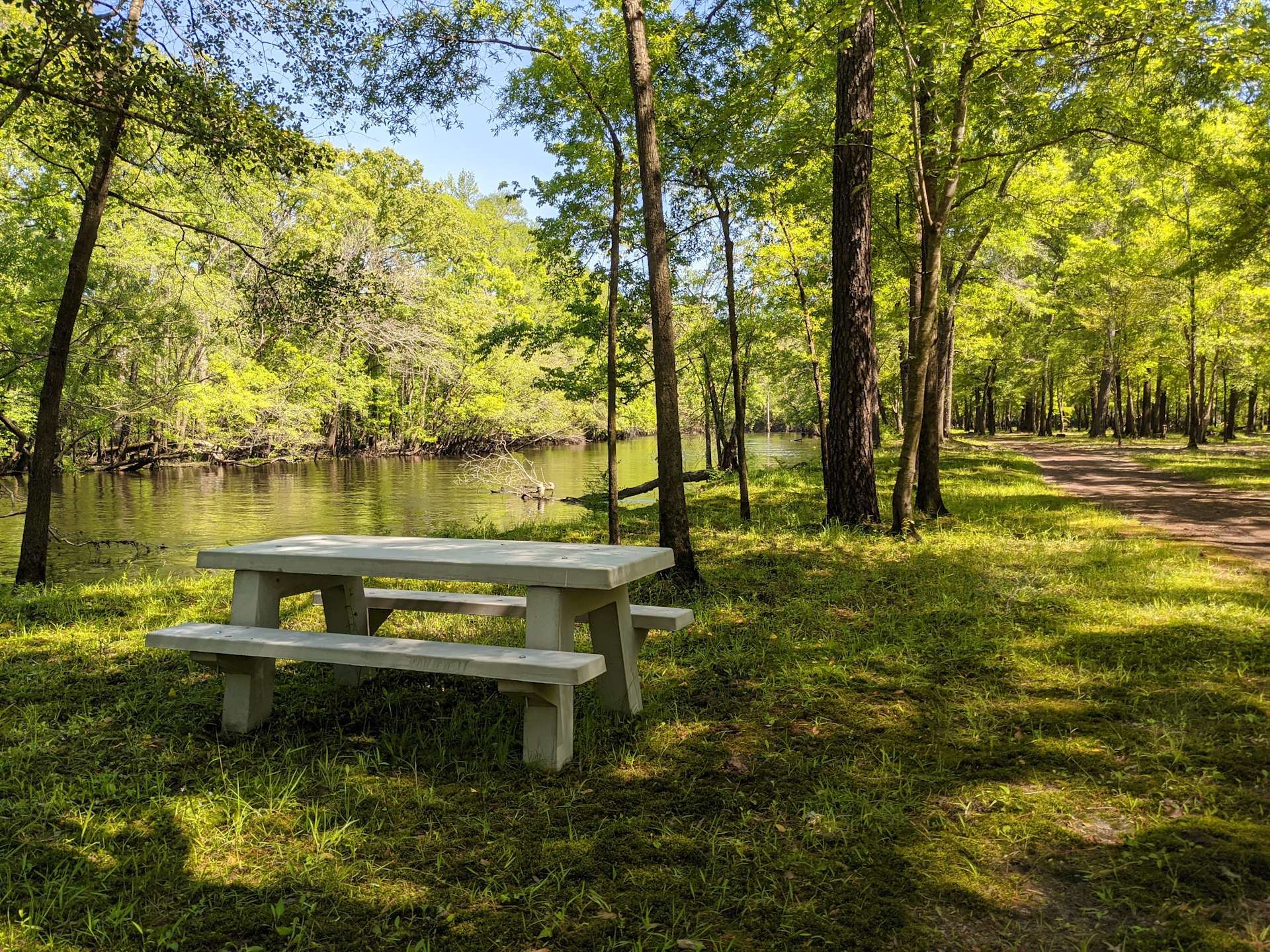 Black River Camping Ventures Hipcamp in Ivanhoe, North Carolina