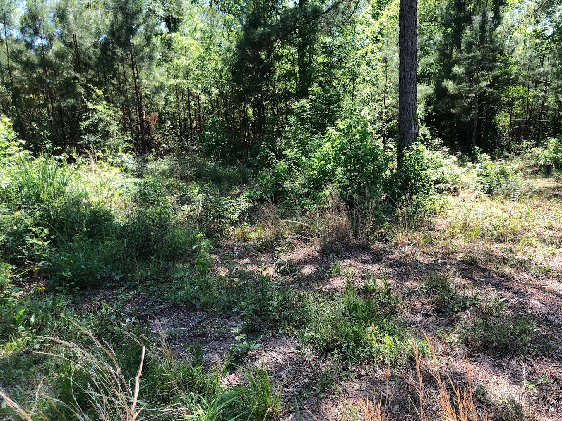 Joseph L Layden Hipcamp in Fleming,