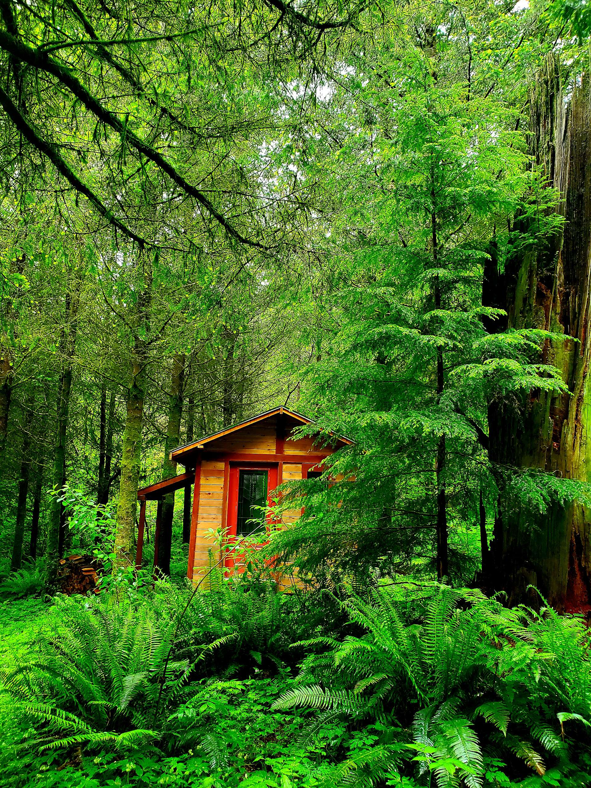 Four Directions Retreat Hipcamp in Rainier, Oregon