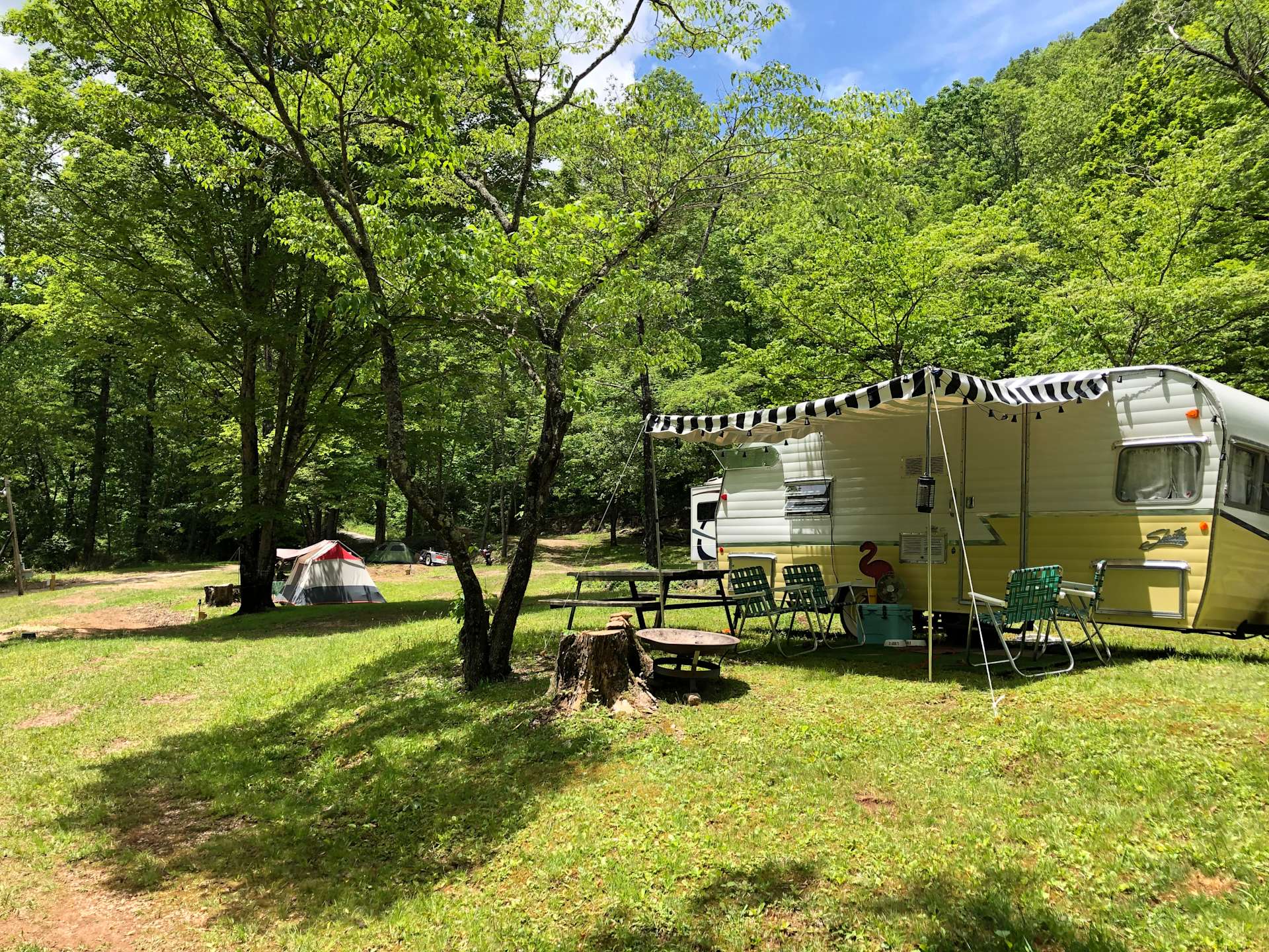 Andy's Trout Farm and Cabins Hipcamp in Otto, North Carolina
