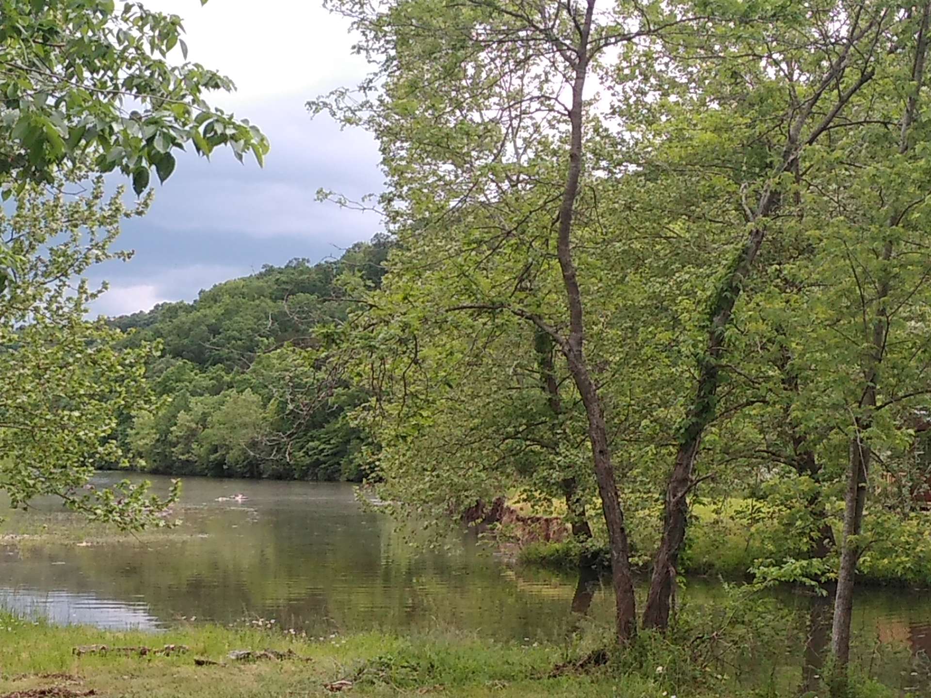 D'Ranch at Clearwater Hipcamp in Gravois Mills, Missouri