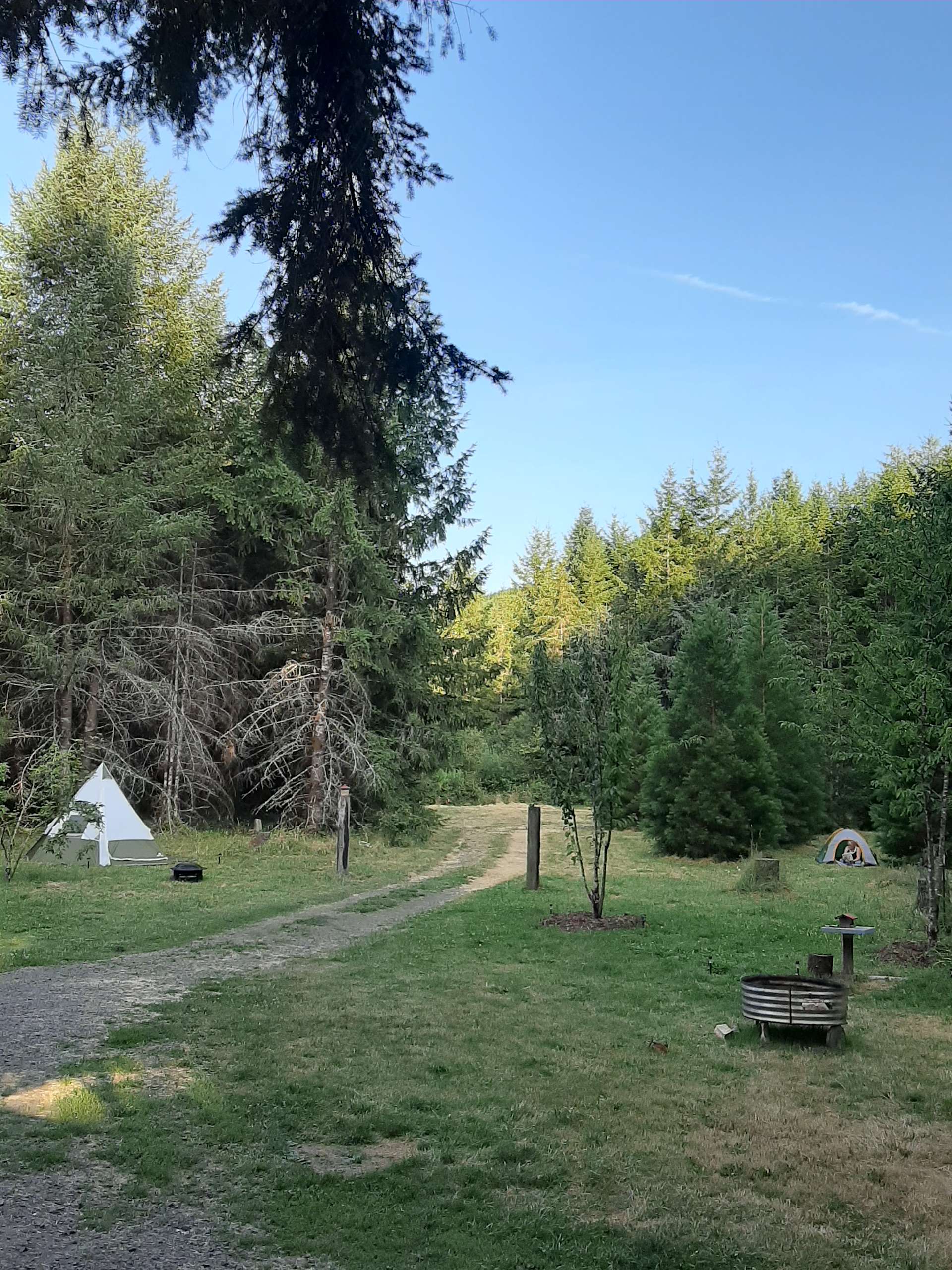 The Aloha Ranch - Hipcamp in Cheshire, Oregon