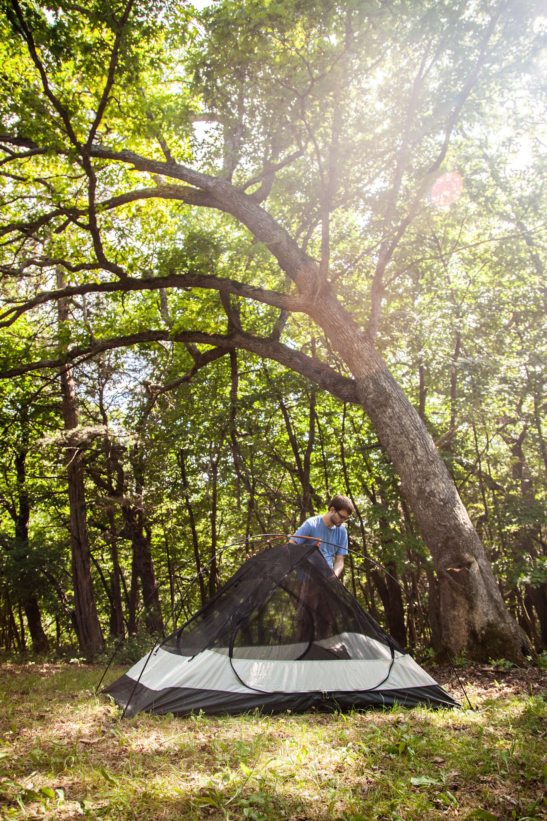 Bluffscapes Camping Hipcamp in Brownsville, Minnesota