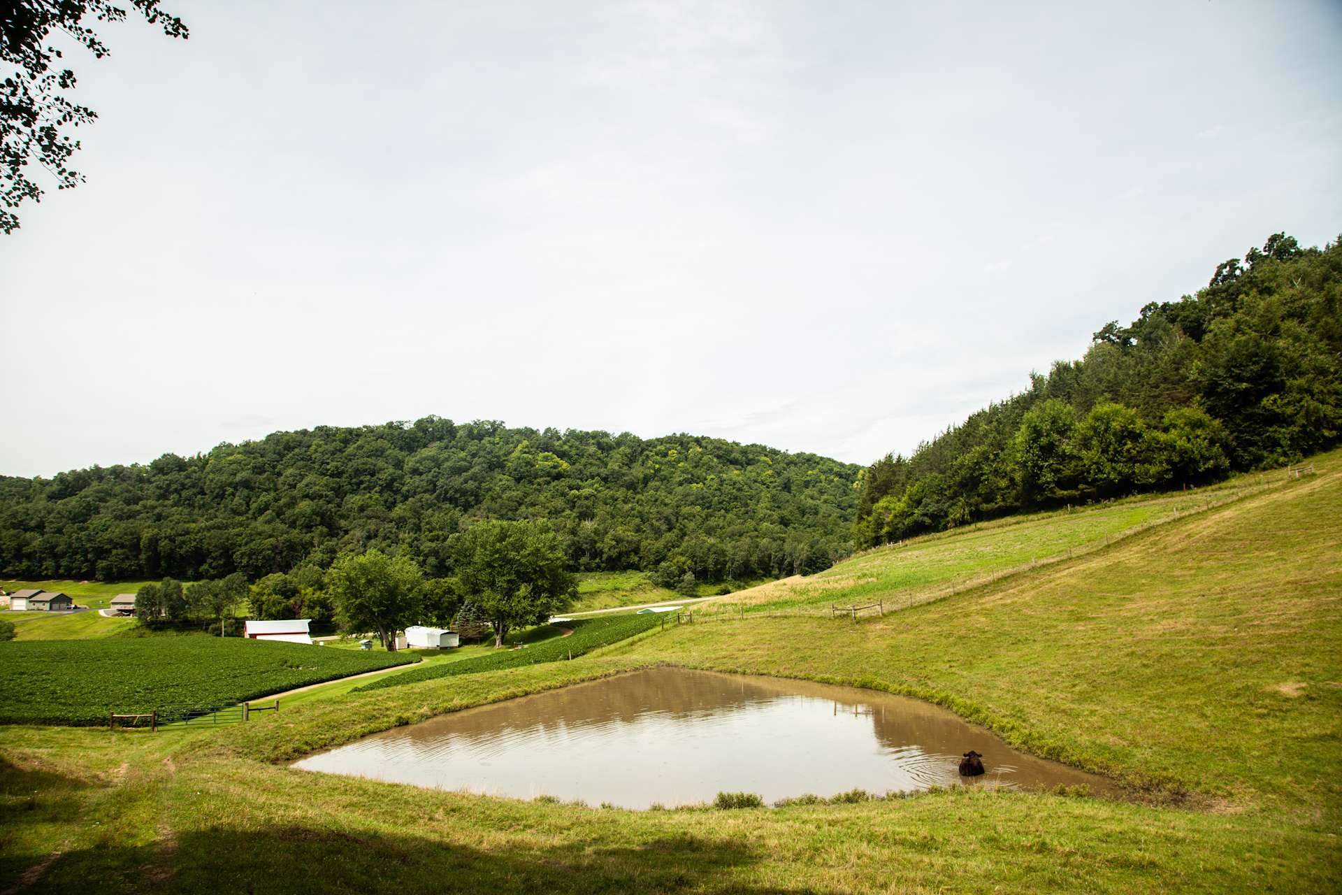 Bluffscapes Camping Hipcamp in Brownsville, Minnesota