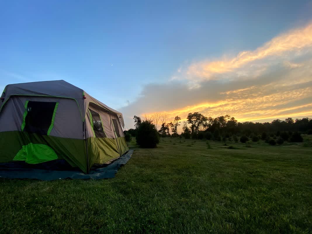 Christmas Tree Farm with Views Hipcamp in Elizabethtown, Pennsylvania