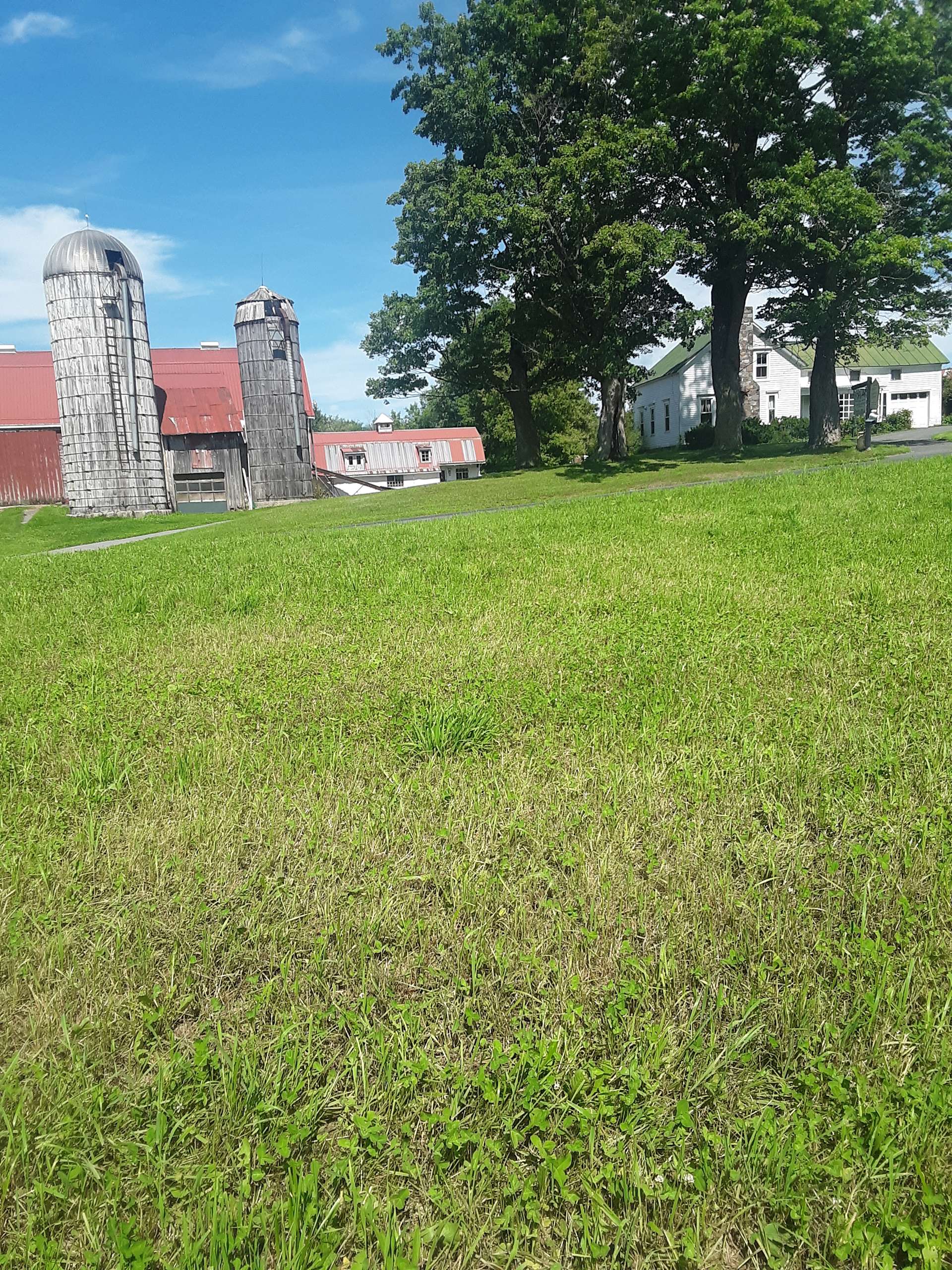 Valleyside Farm Hipcamp in Remsen, New York