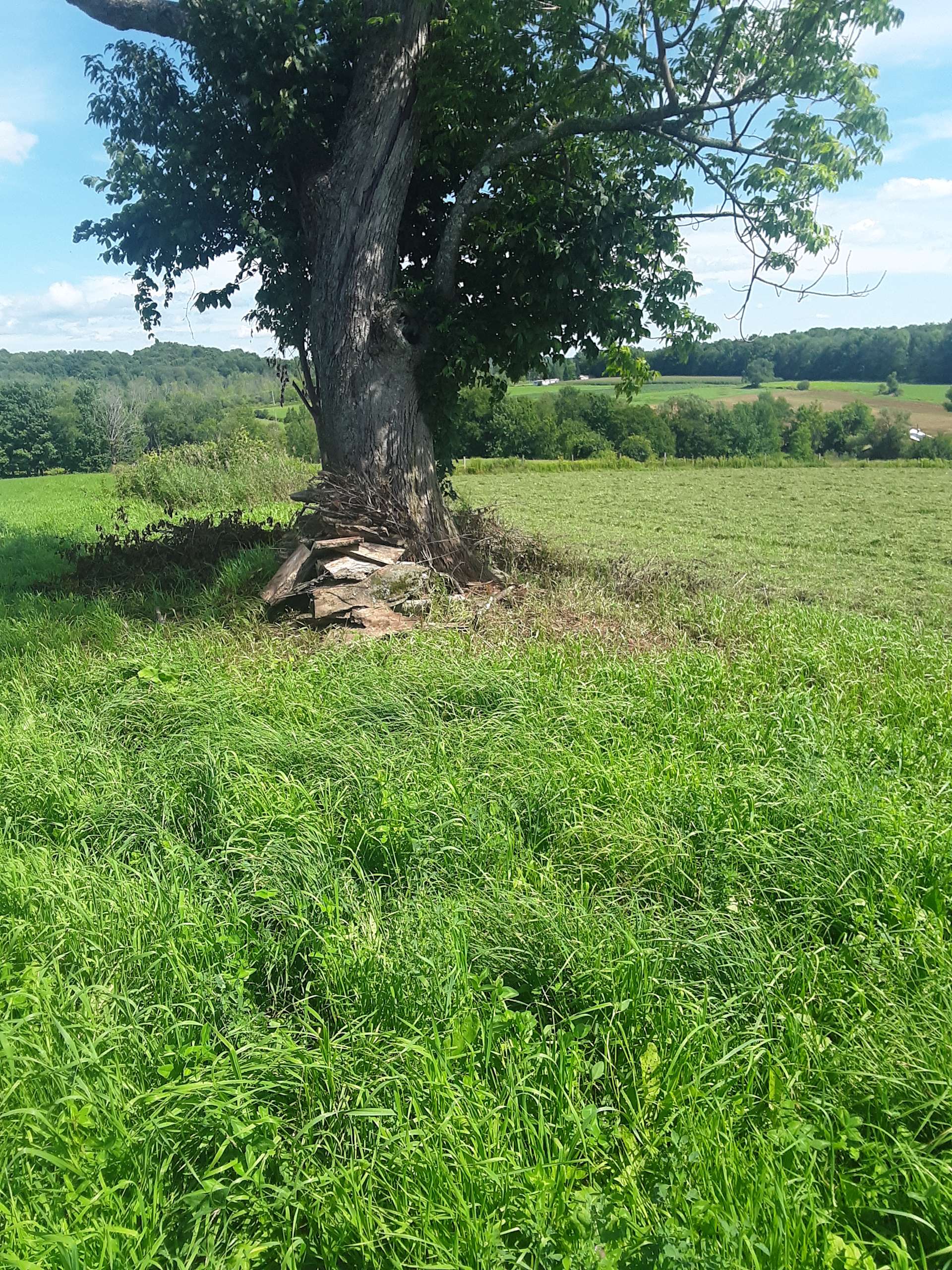 Valleyside Farm Hipcamp in Remsen, New York