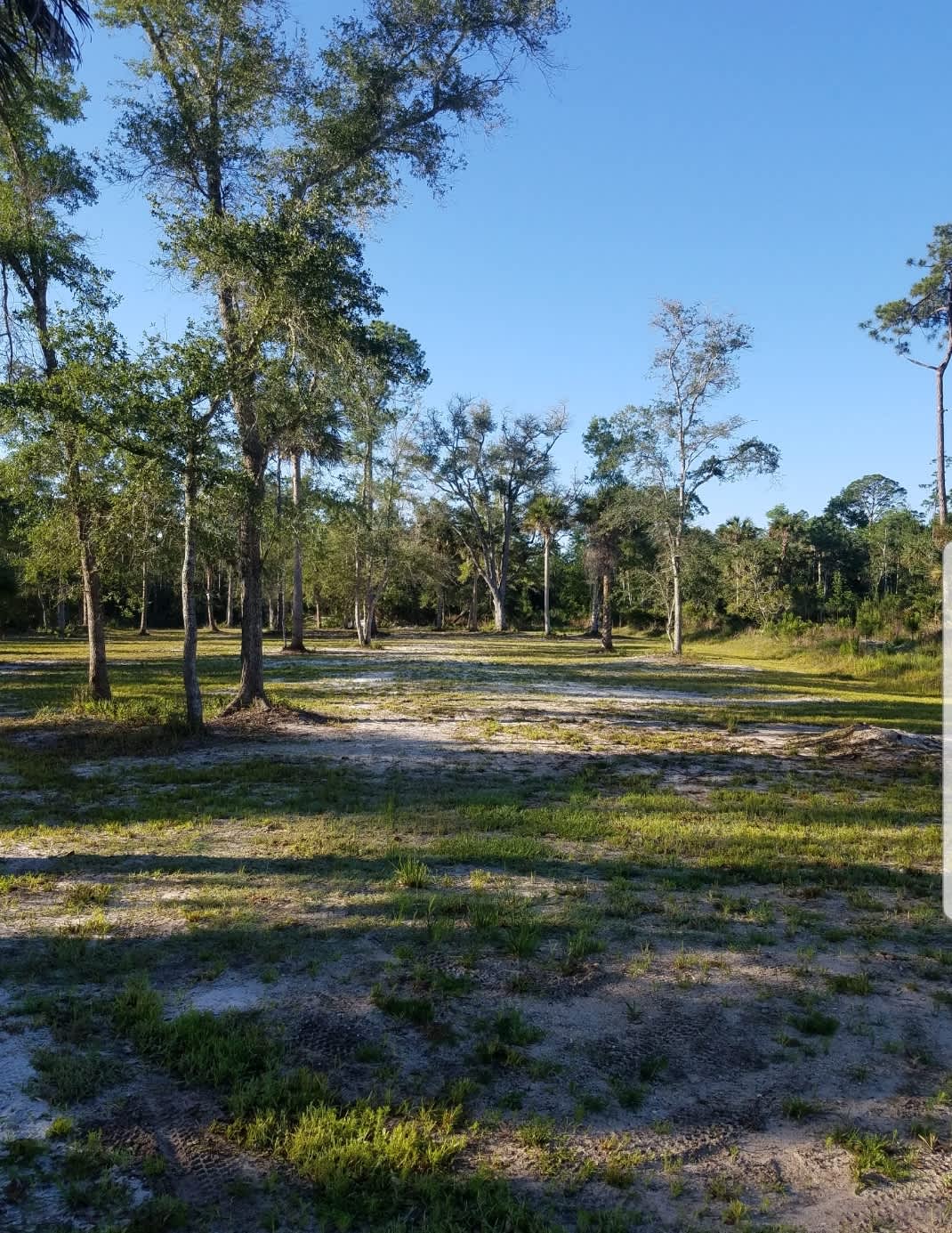 IN THE FOREST AND CLOSE TO OCEAN Hipcamp in Bunnell, Florida