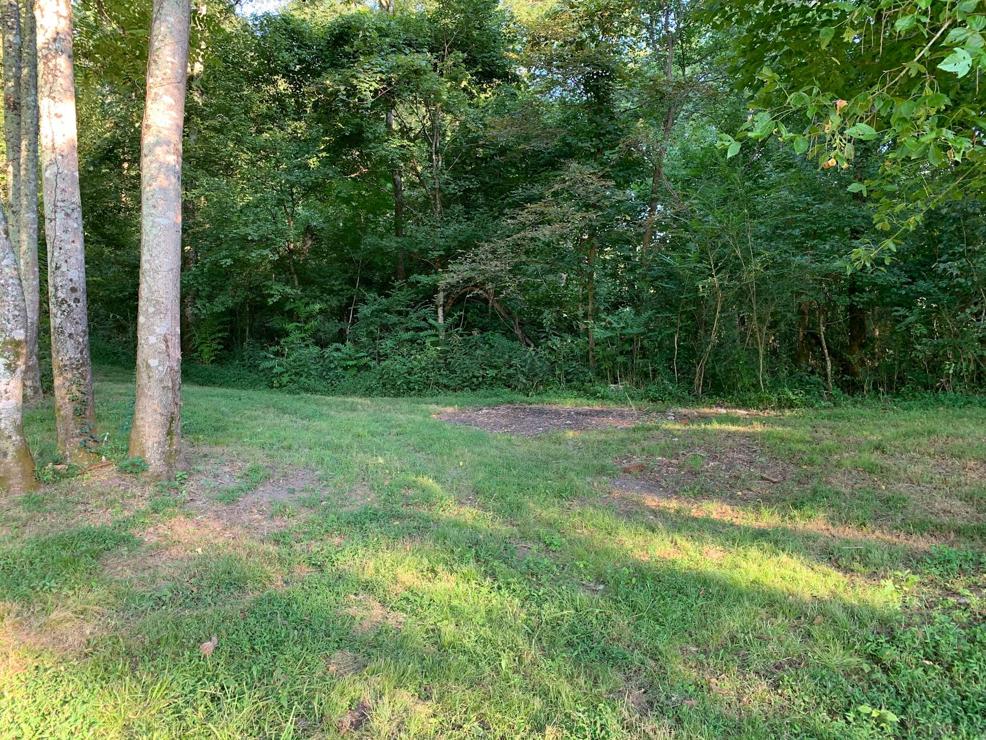Wildwood Hipcamp in Lobelville, Tennessee