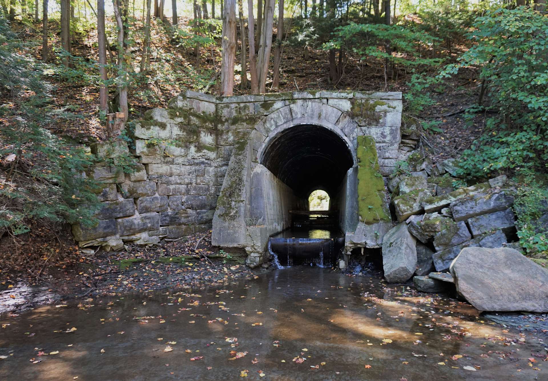 Eriegrove Hipcamp in Forestville, New York