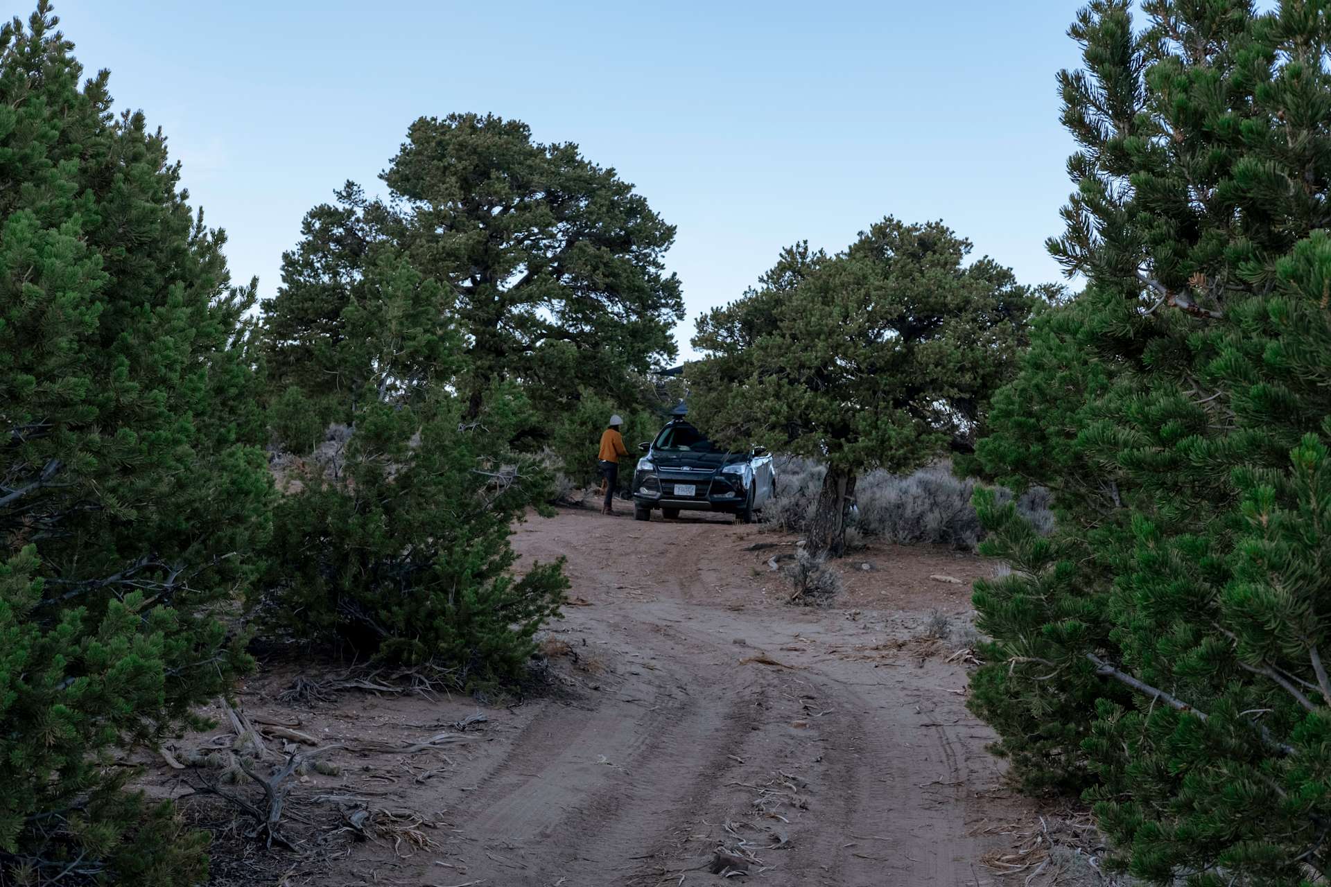 Campe Diem! Hipcamp in Fort Garland, Colorado