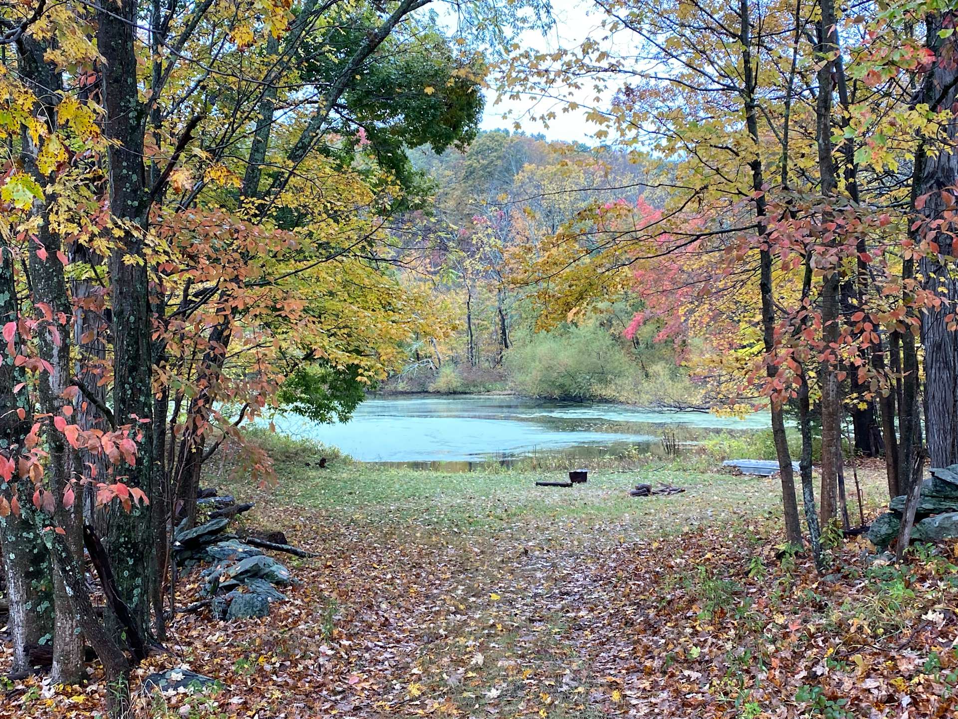 Organic Farm in the Pocono Mts. Hipcamp in East Stroudsburg, Pennsylvania