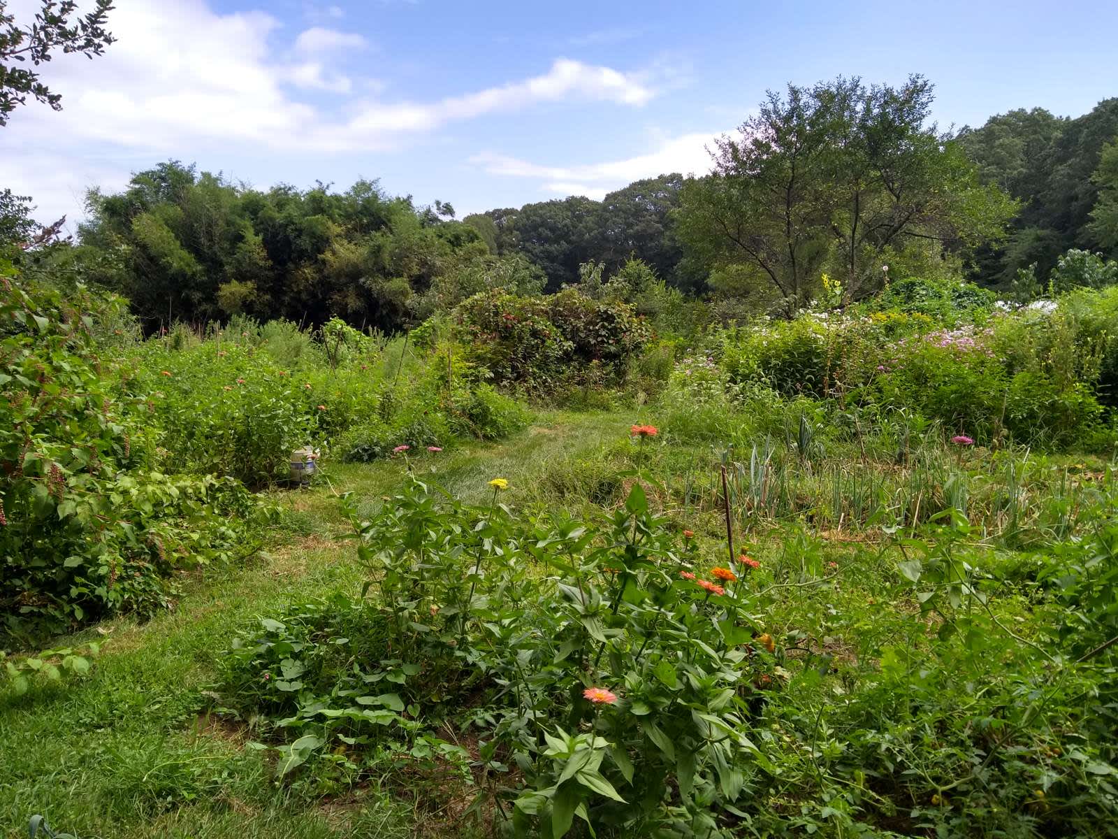 The Hay House Farm Hipcamp in Old Saybrook, Connecticut