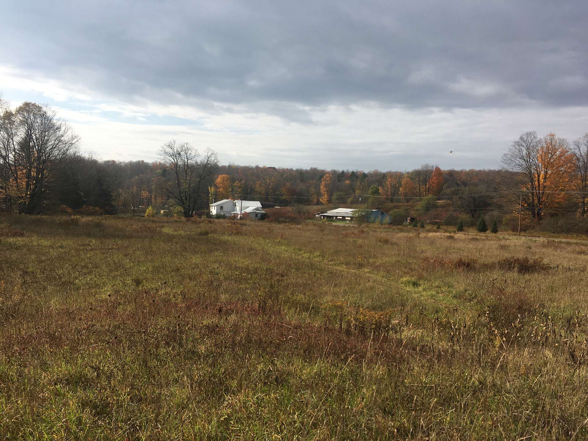 Field of Dreams Hipcamp in Sinclairville, New York