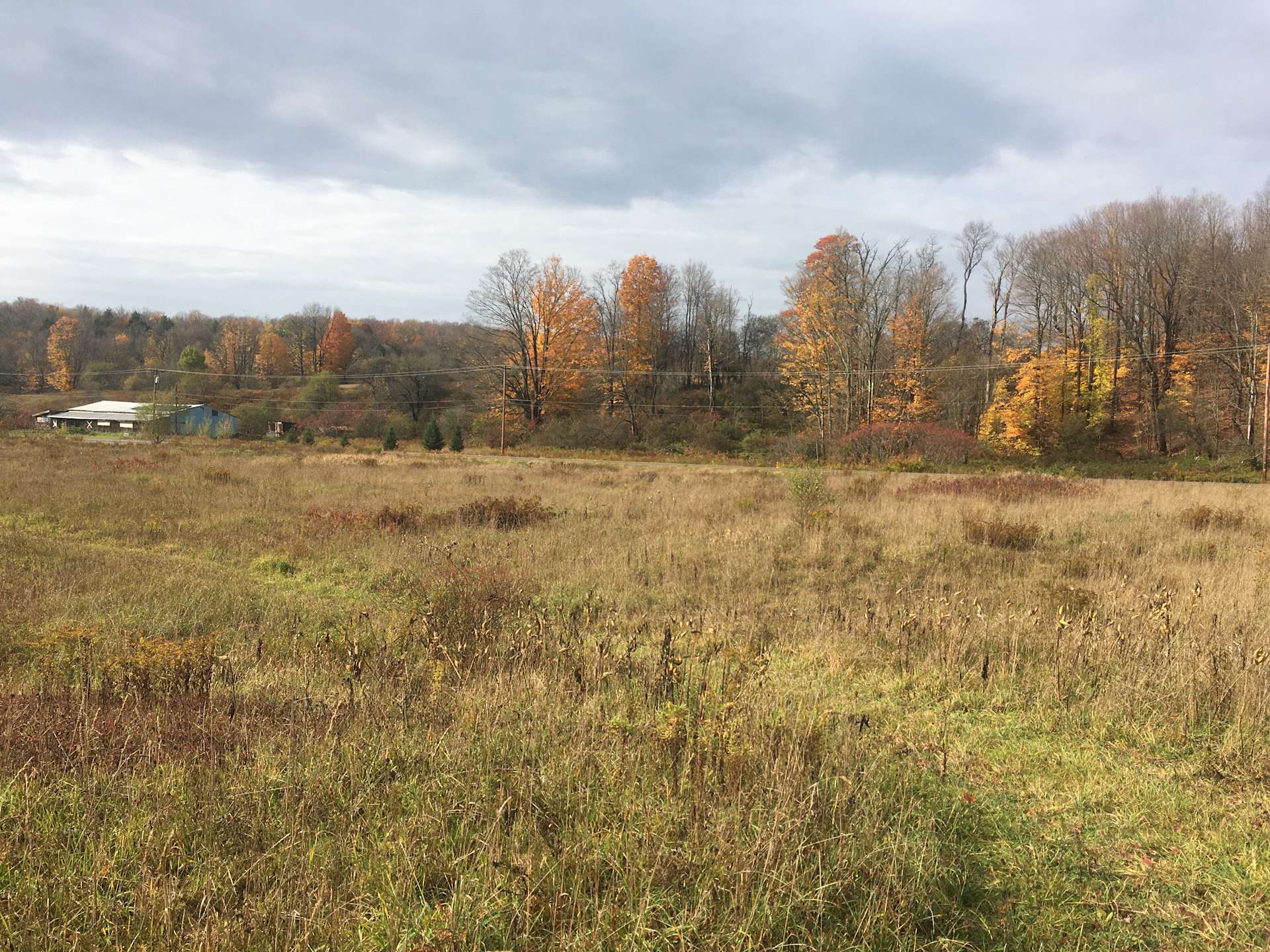 Field of Dreams Hipcamp in Sinclairville, New York