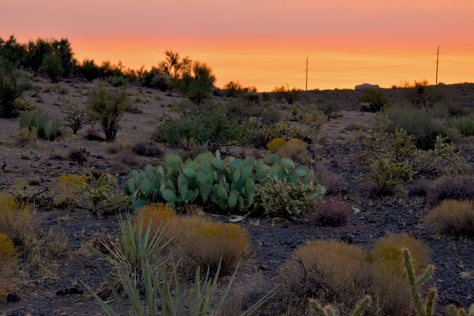 S.W.Eden Ranch Hipcamp in Kingman, Arizona