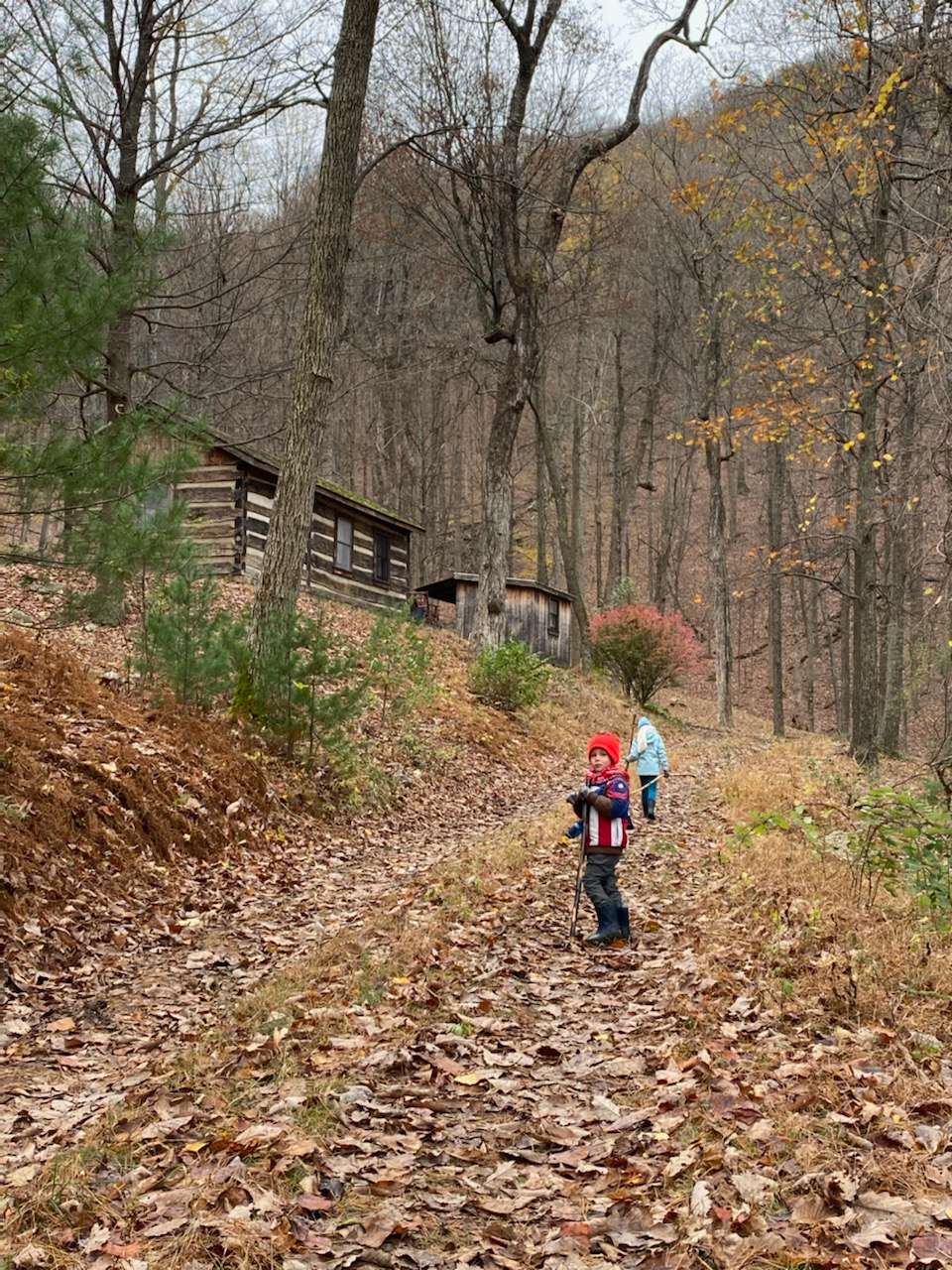 Lost River Forest Hipcamp in , West Virginia