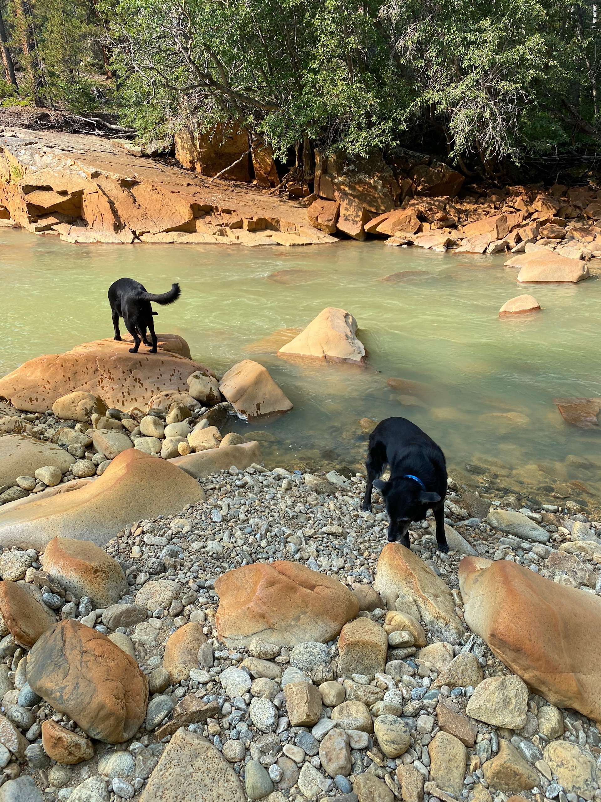 Moose Crossing Campsites Hipcamp in Twin Lakes, Colorado
